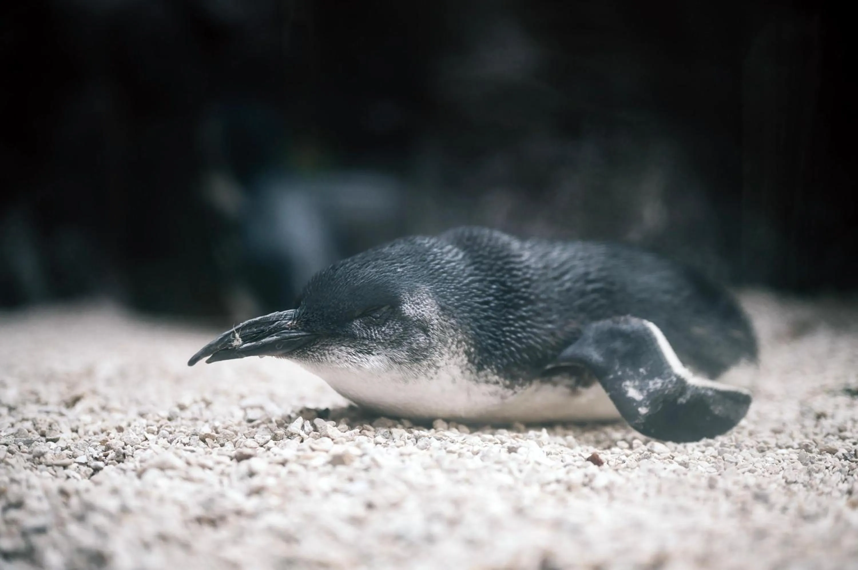 Nearby landmark in Holiday Inn Garland by IHG