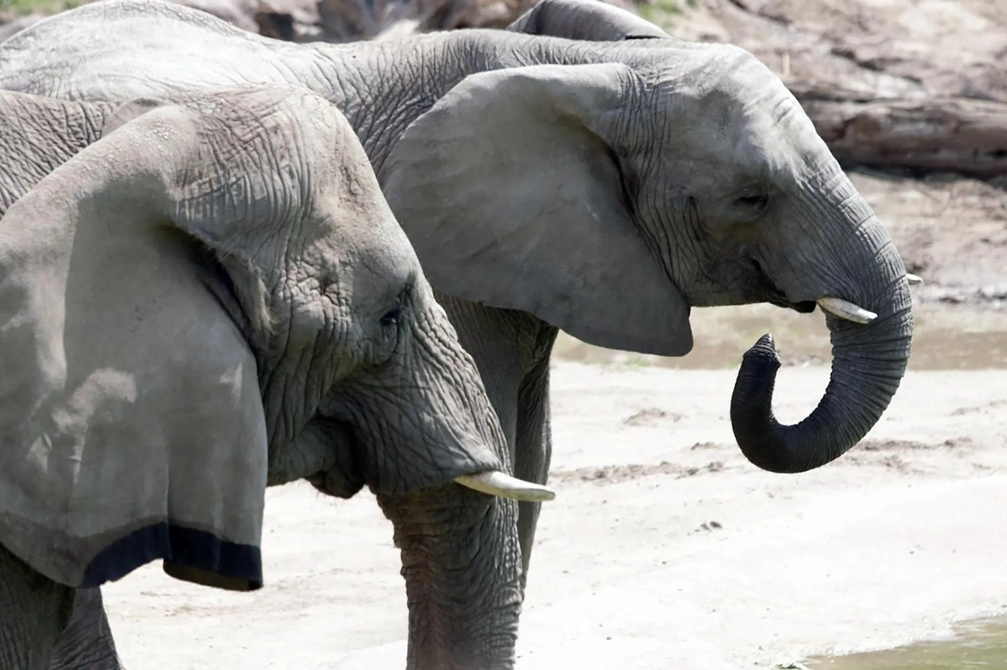 Nearby landmark in Holiday Inn Garland by IHG