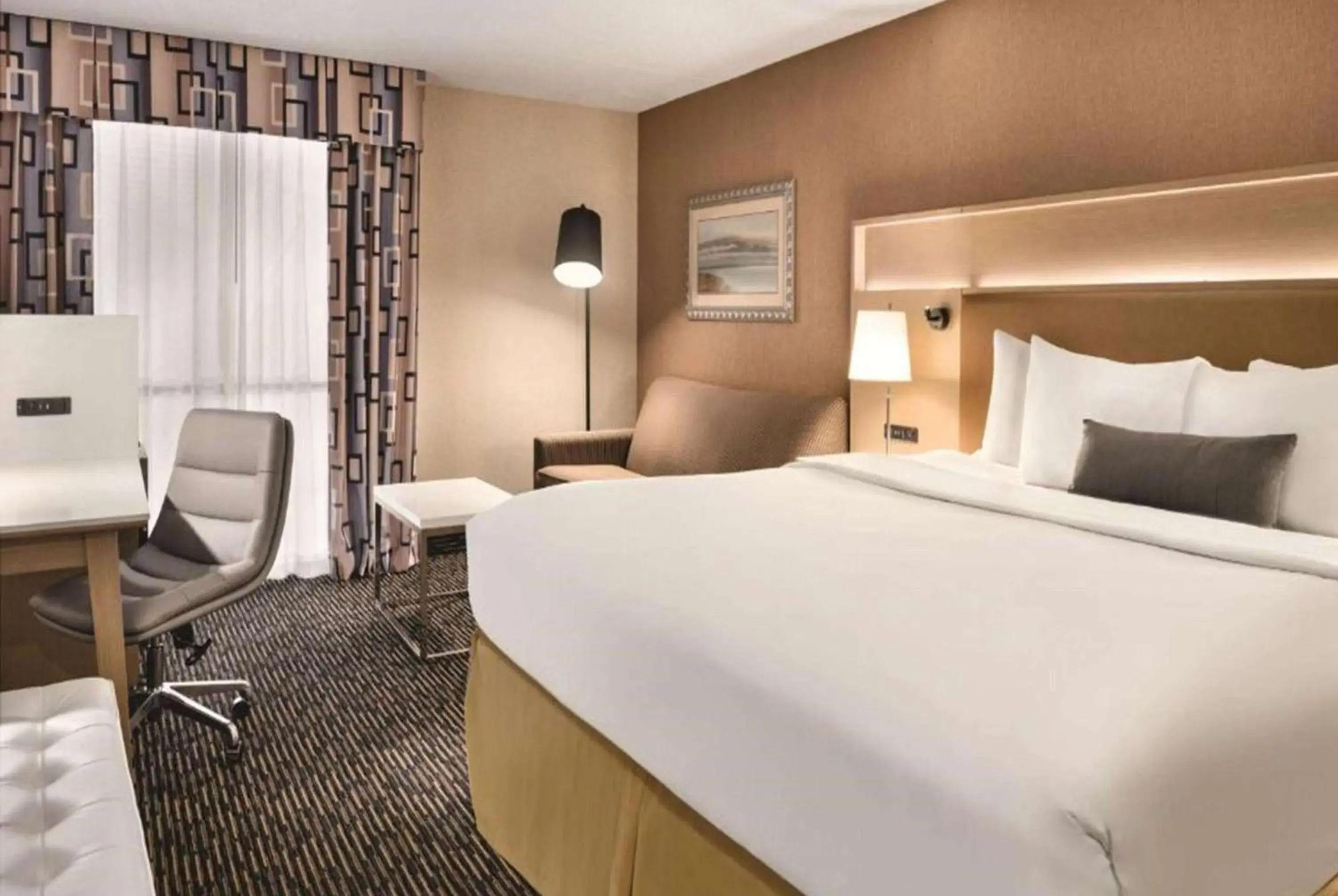 Photo of the whole room, Bed in Wyndham Garden Conference Center Champaign - Urbana Photo of the whole room, Bed in Wyndham Garden Conference Center Champaign - Urbana