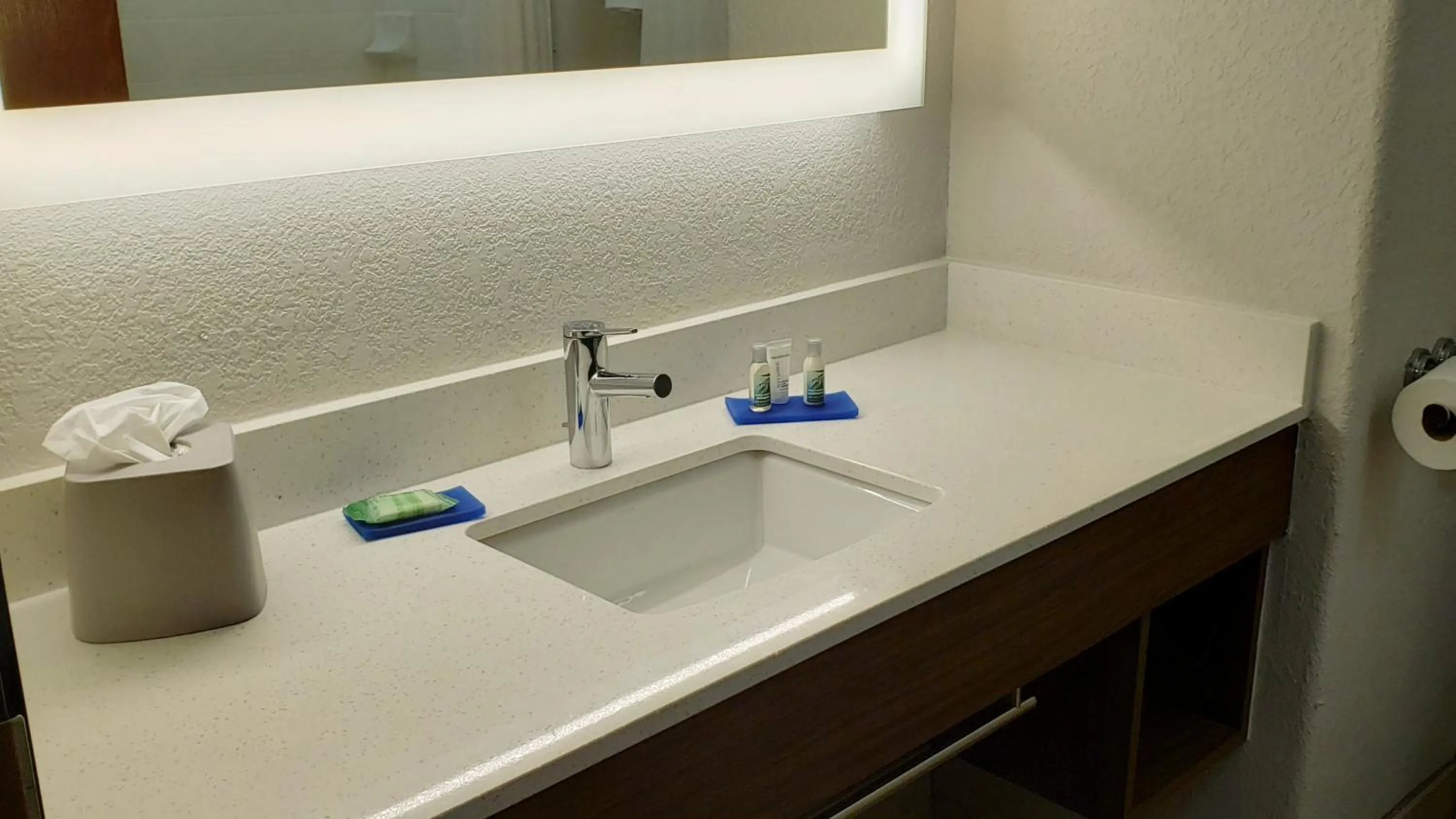 Bathroom in Holiday Inn Express Hotel and Suites Weslaco by IHG
