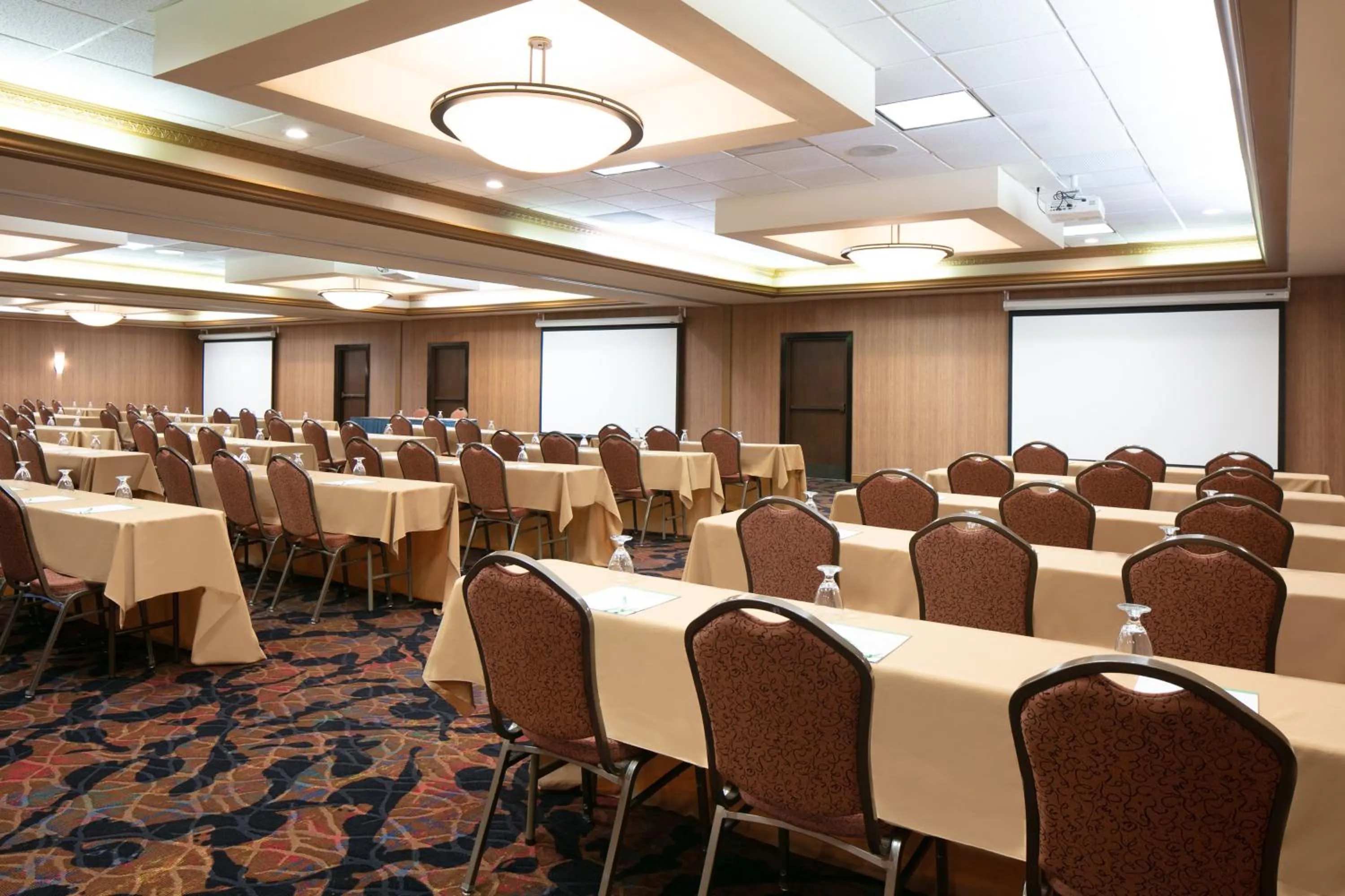 Meeting/conference room in Holiday Inn Dubuque/Galena by IHG