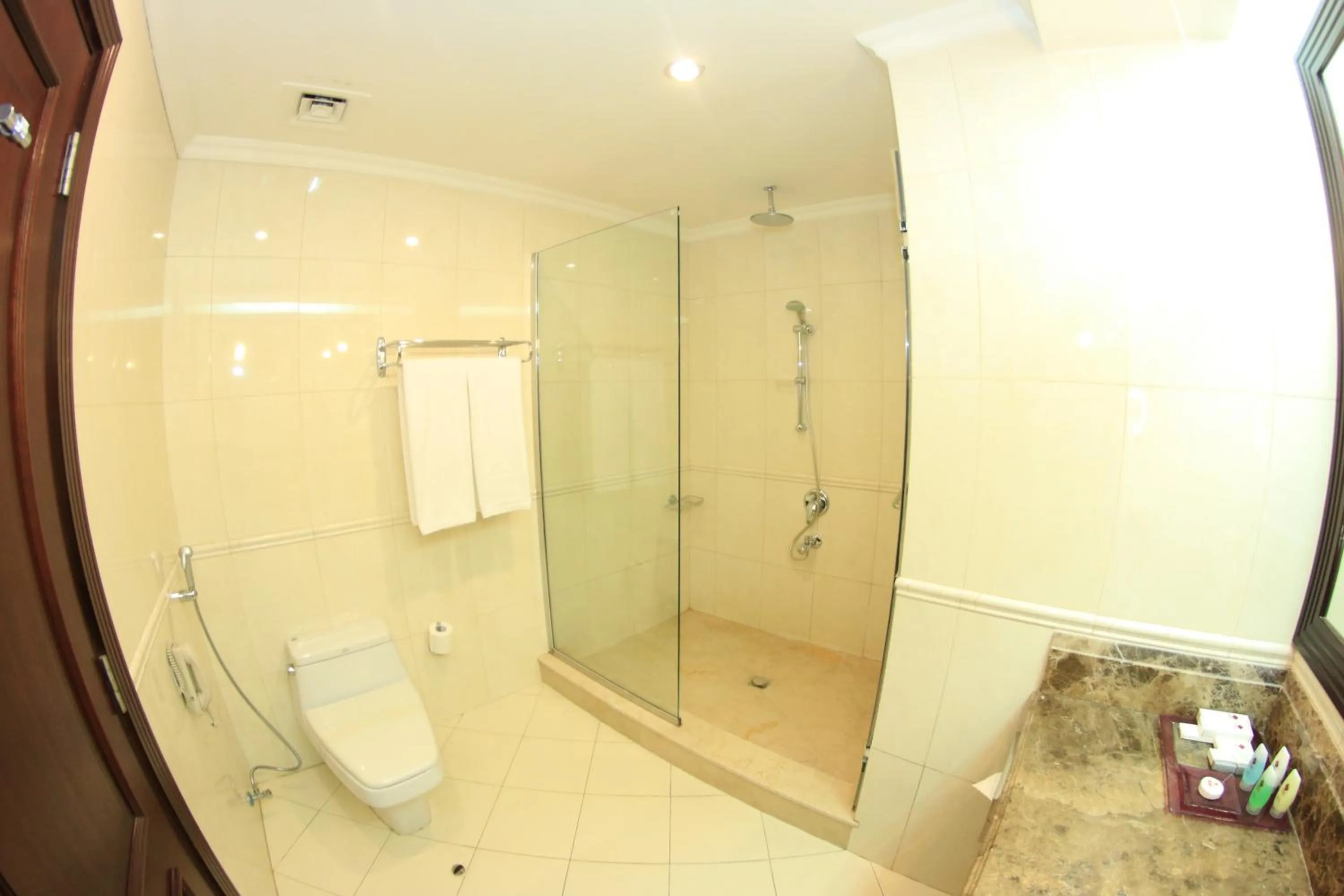 Bathroom in Grand Regal Hotel