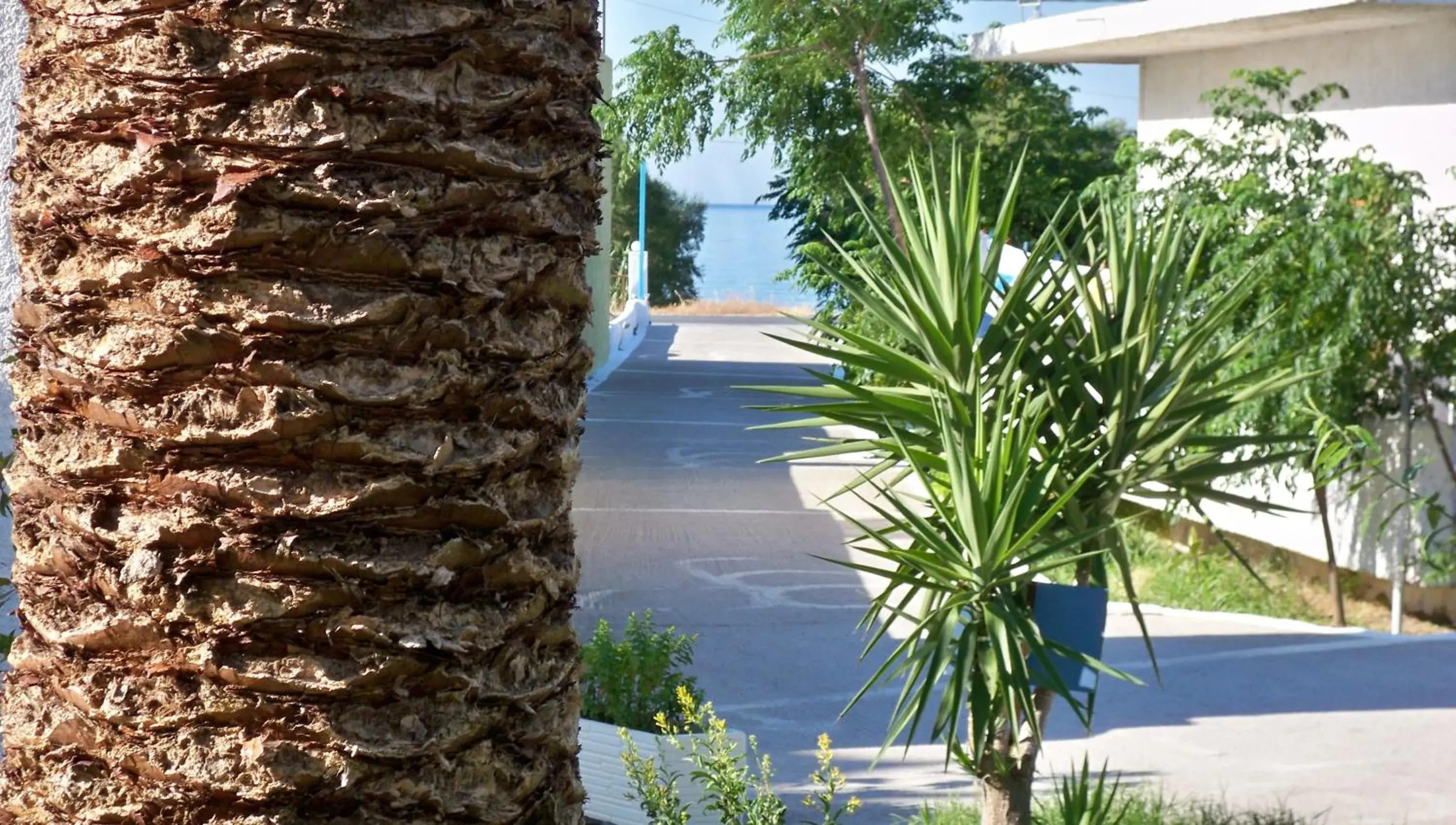 View (from property/room) in Aphrodite Samos Suites View (from property/room) in Aphrodite Samos Suites