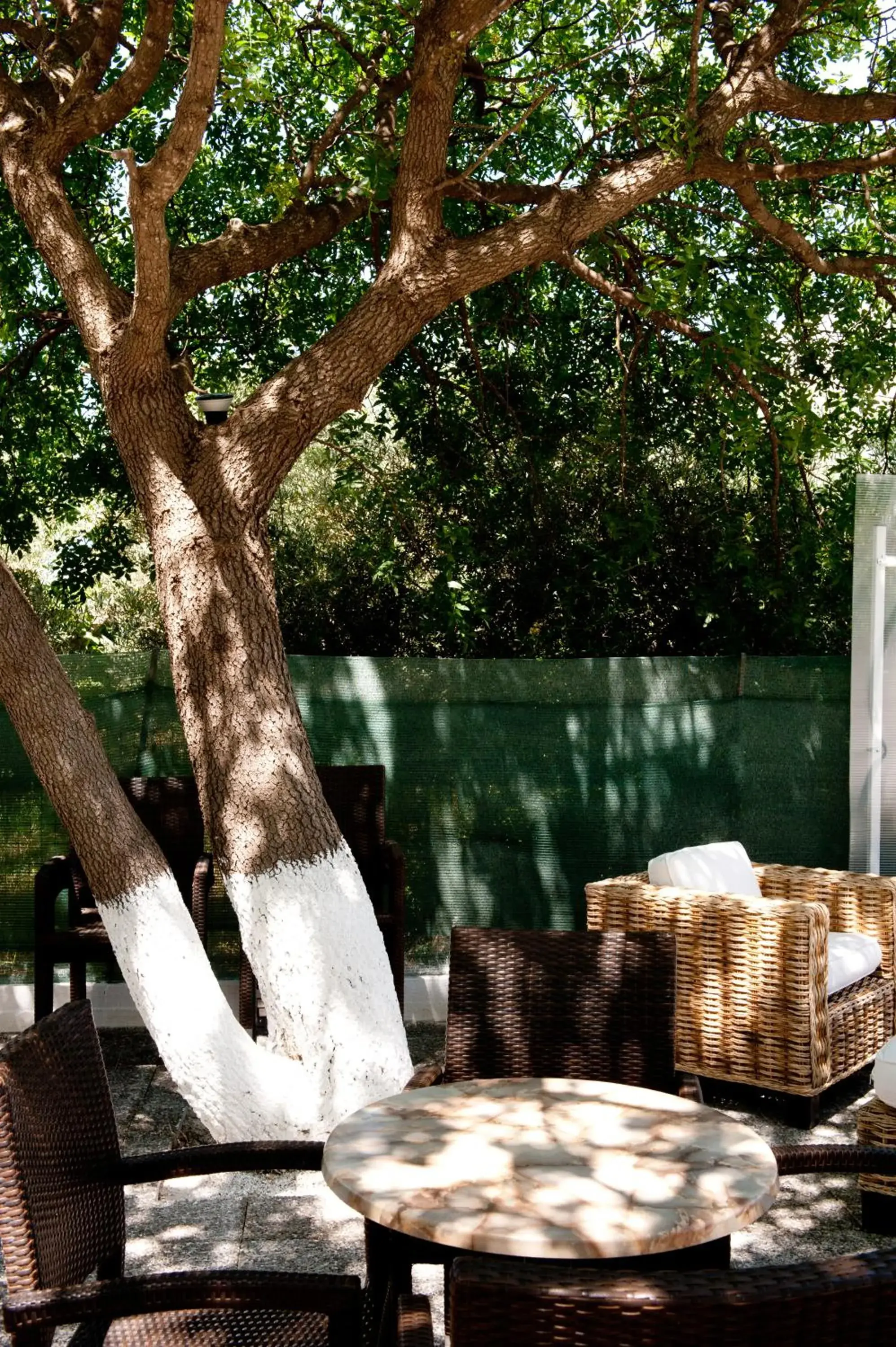 Lounge or bar in Aphrodite Samos Suites Lounge or bar in Aphrodite Samos Suites