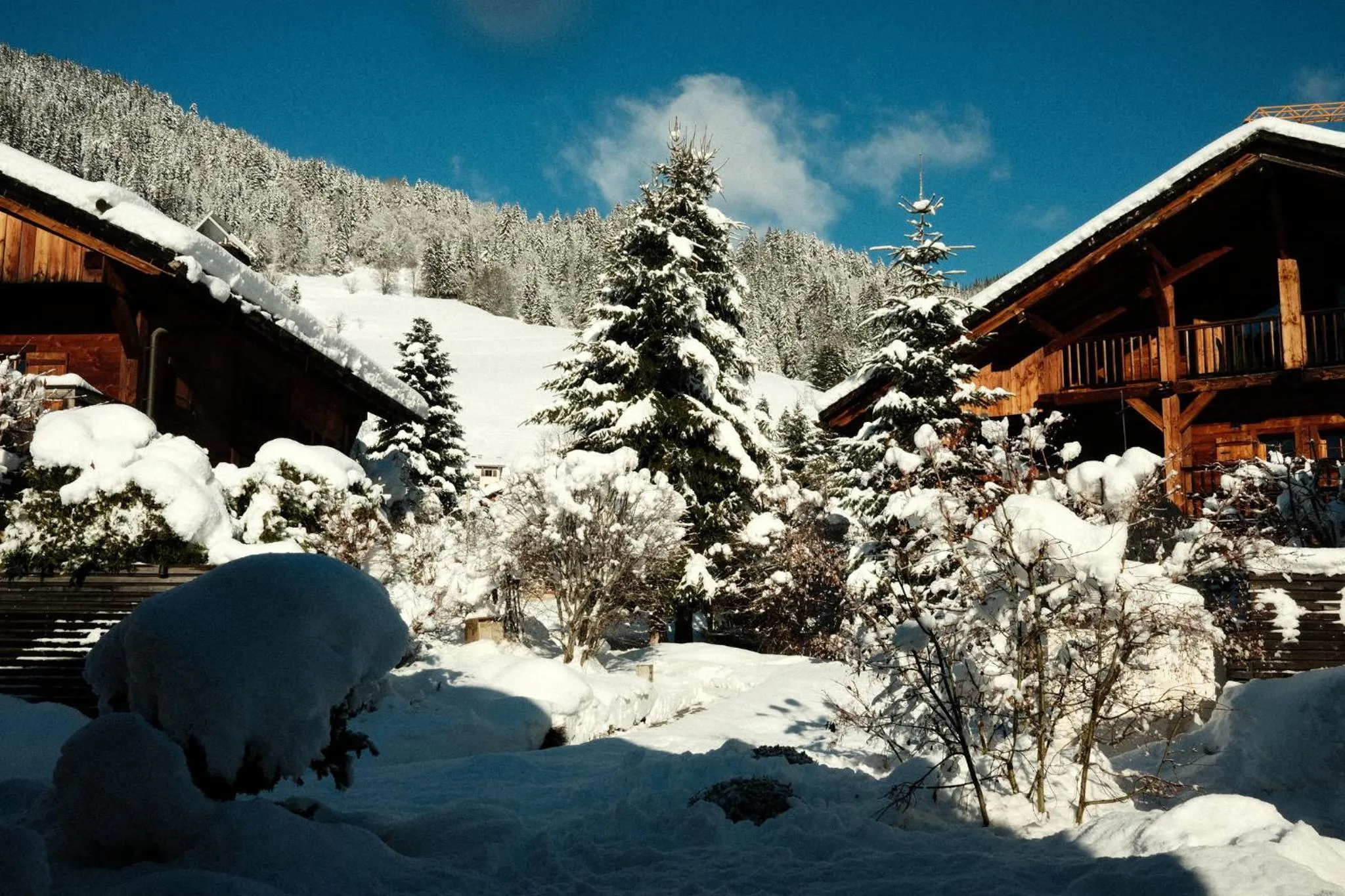 Photo of the whole room in L'Alpaga, a Beaumier hotel