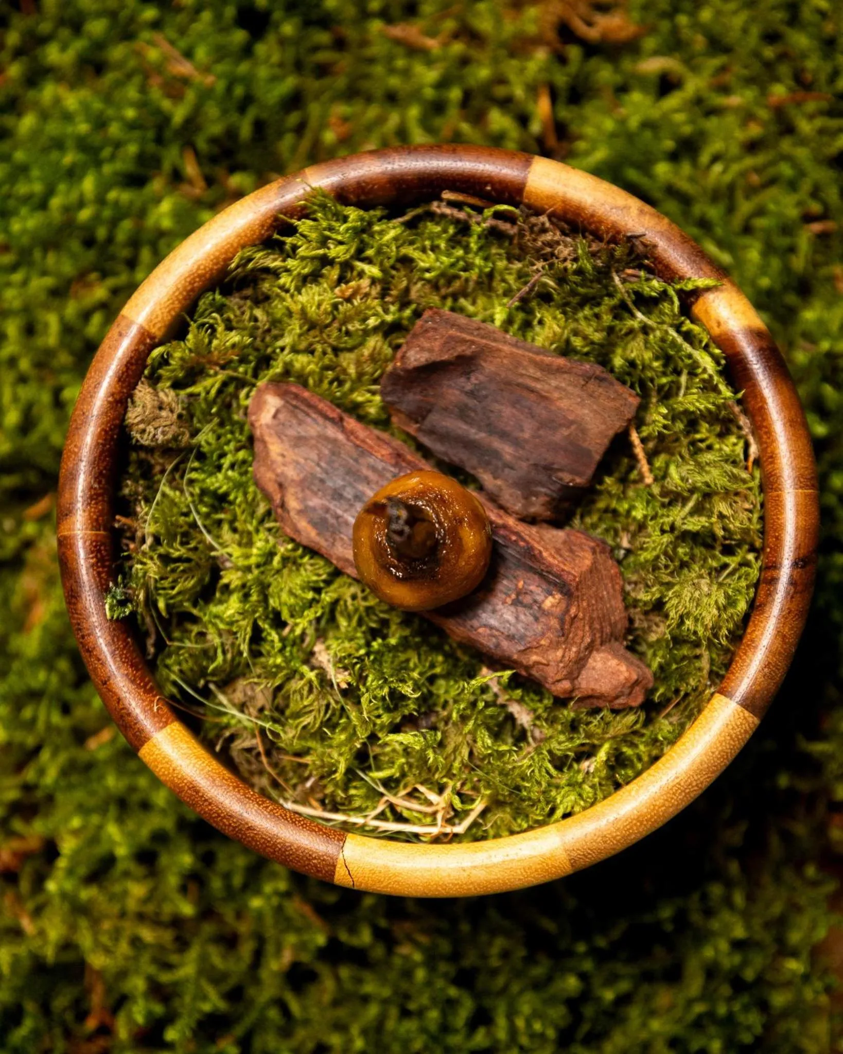 Restaurant/places to eat in L'Alpaga, a Beaumier hotel