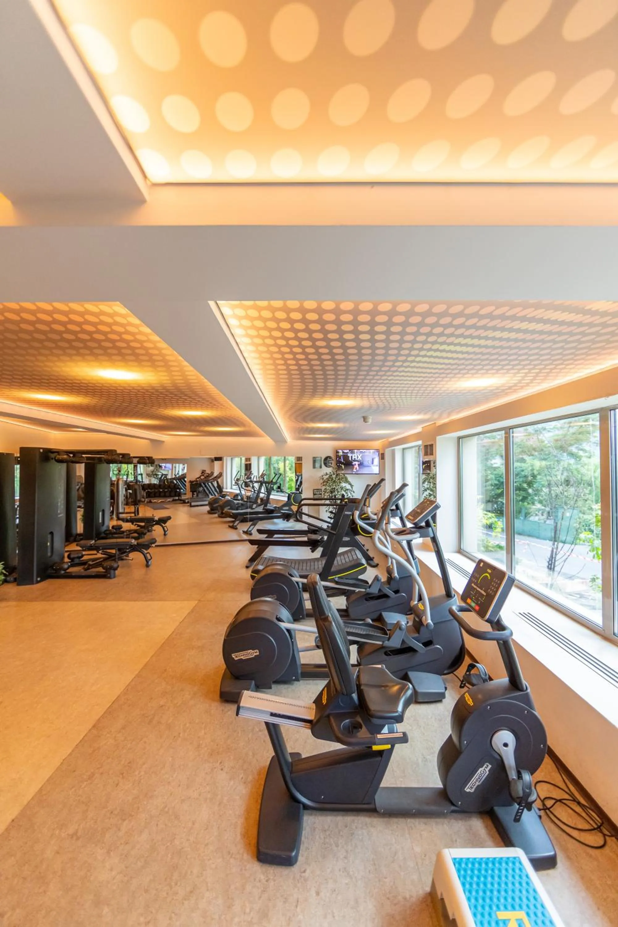 Fitness centre/facilities in Hotel Belvedere