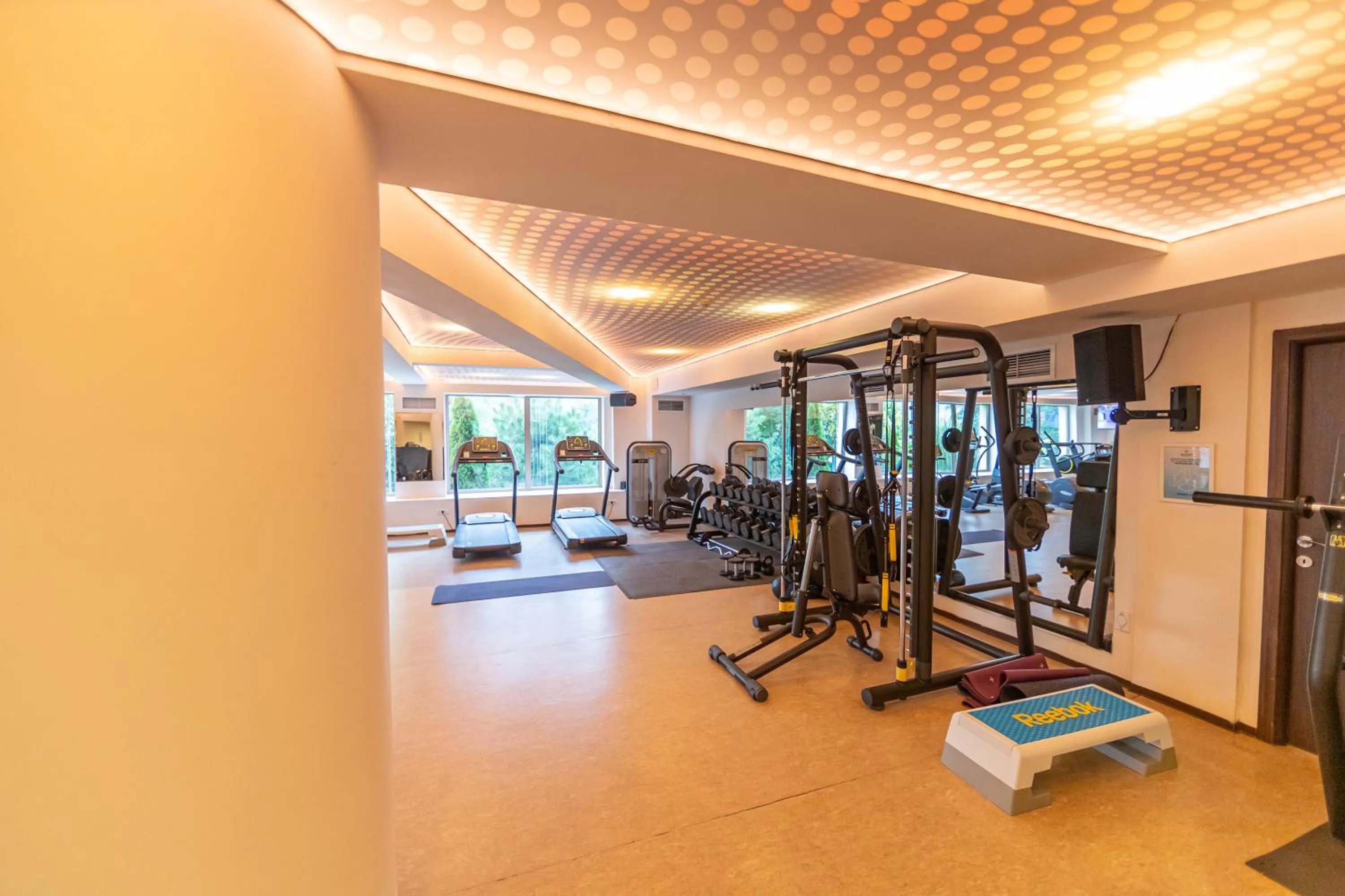 Fitness centre/facilities in Hotel Belvedere