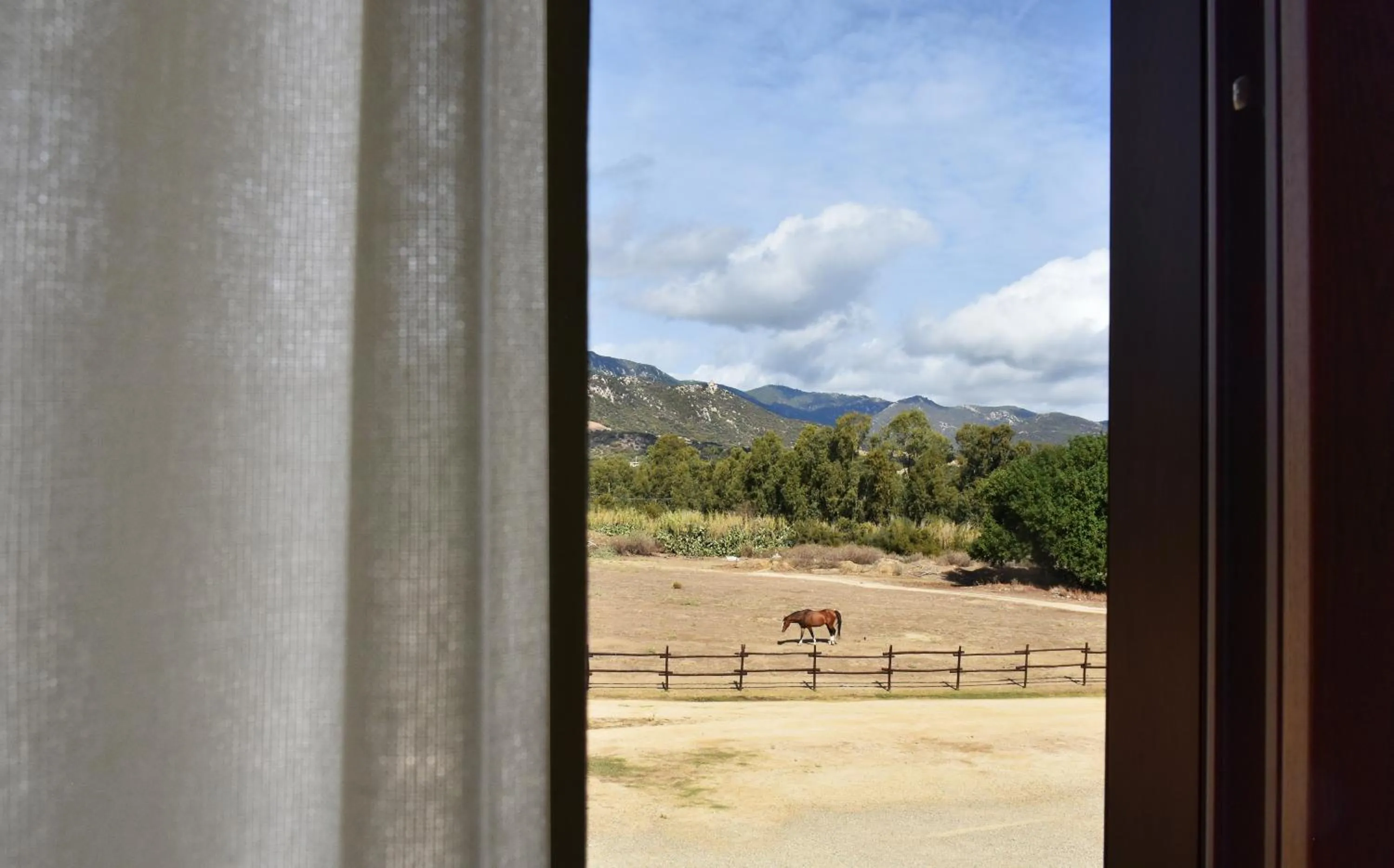 Natural landscape in Le Anfore Hotel