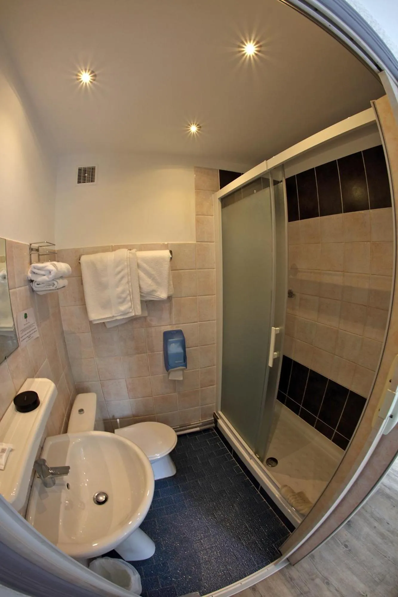 Twin Room in Hotel De l'Europe