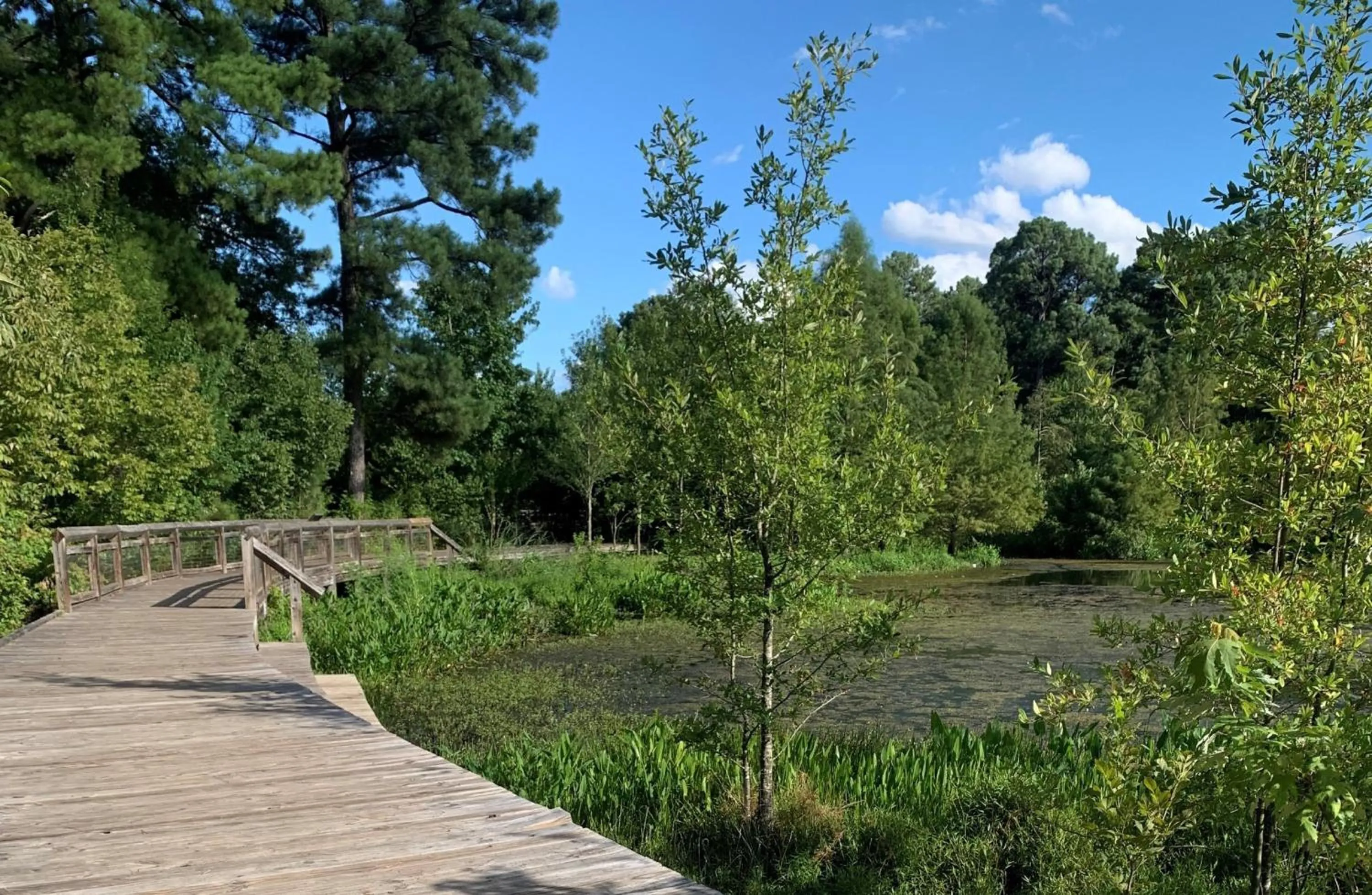 Nearby landmark in Candlewood Suites Conway by IHG
