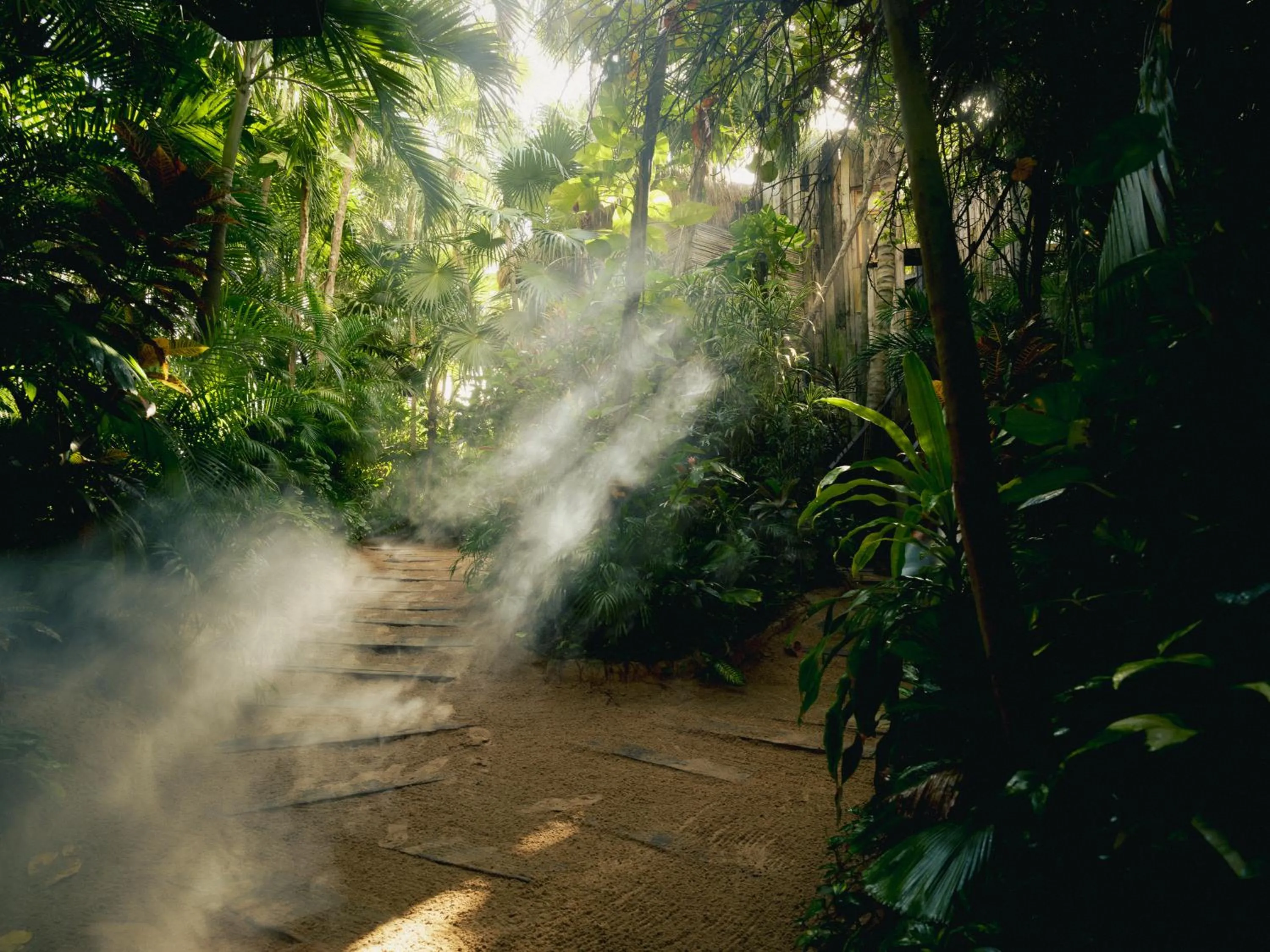 Natural landscape in BE Destination Tulum