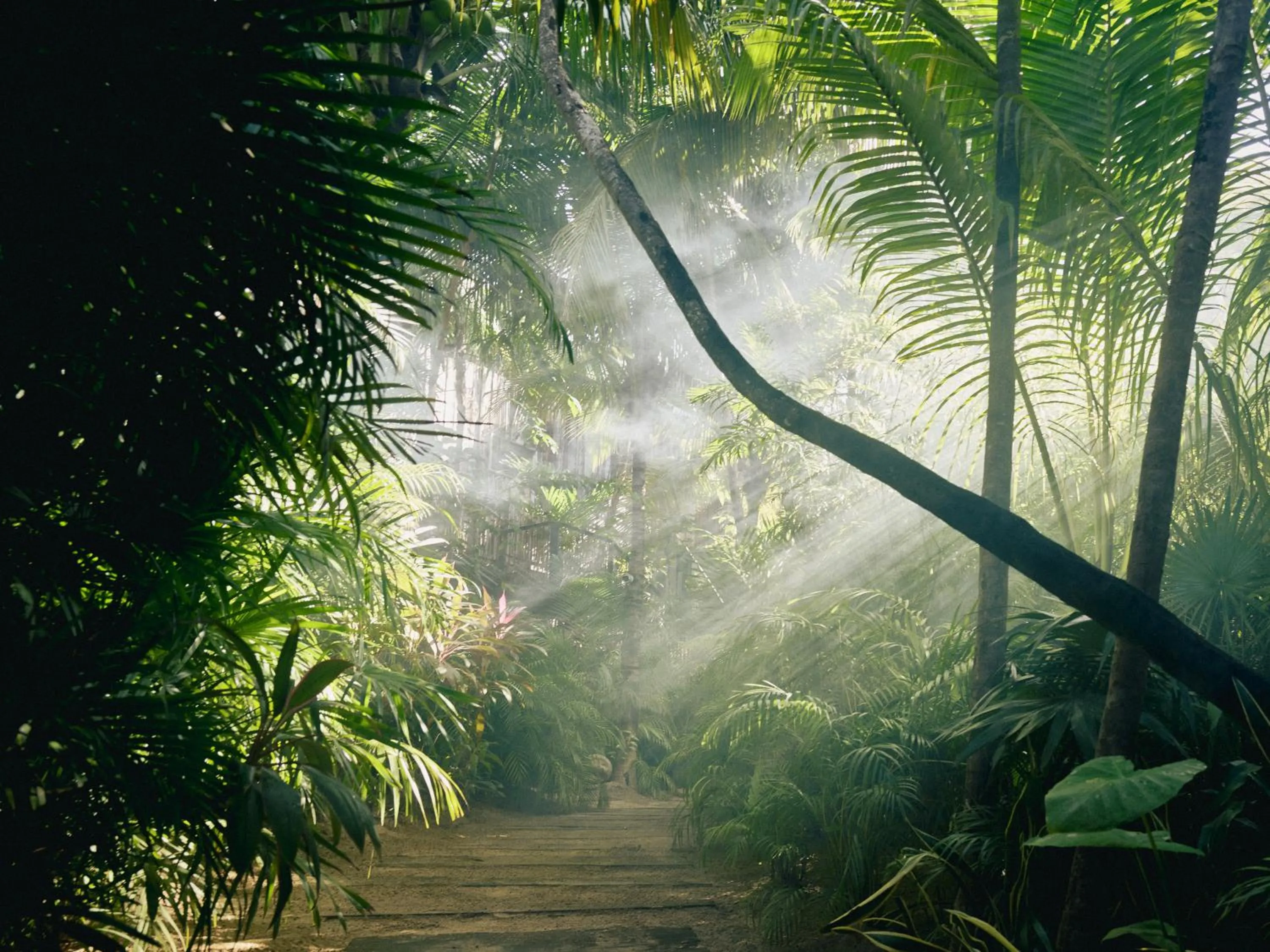 Natural landscape in BE Destination Tulum