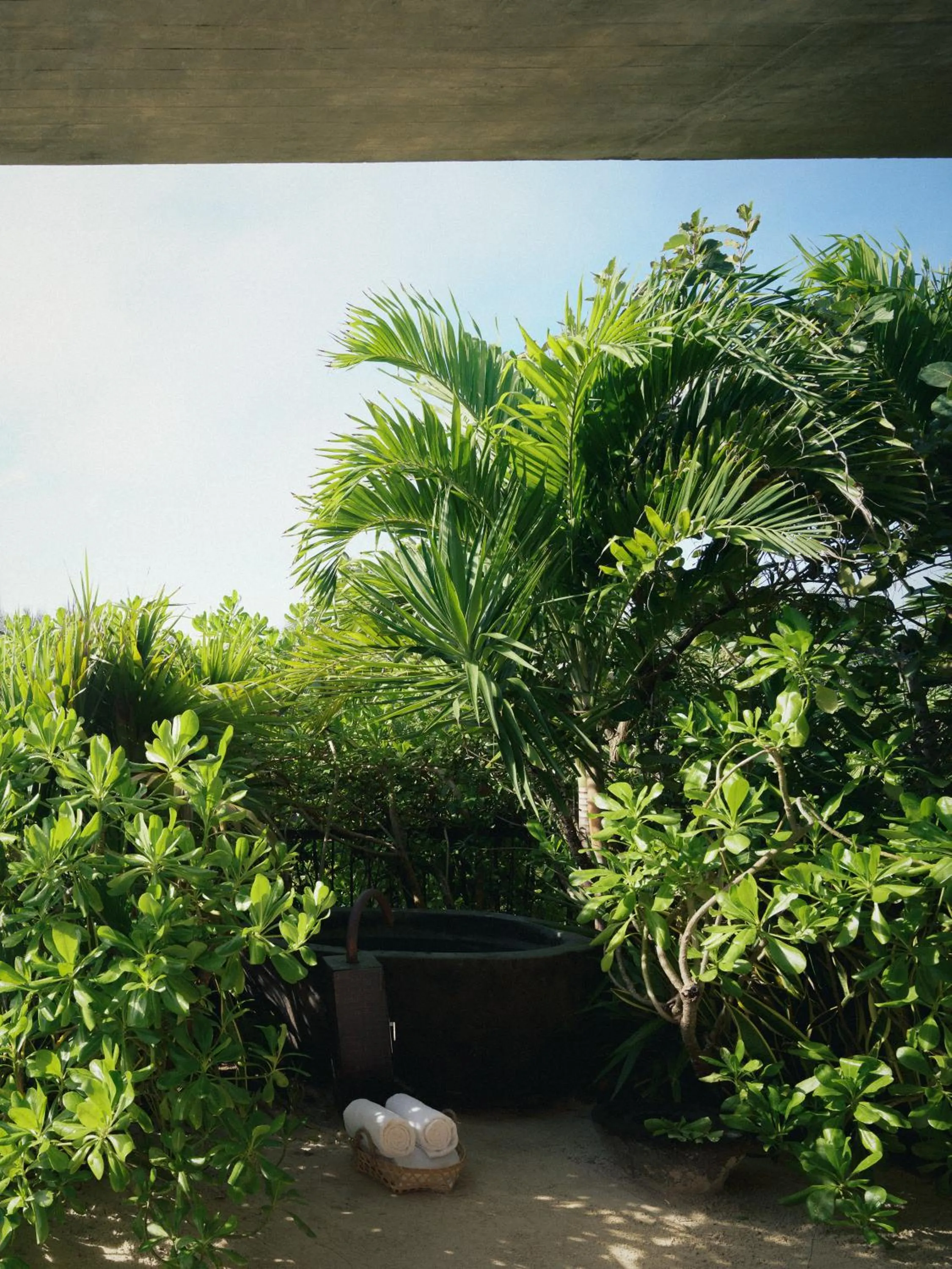 Garden in BE Destination Tulum