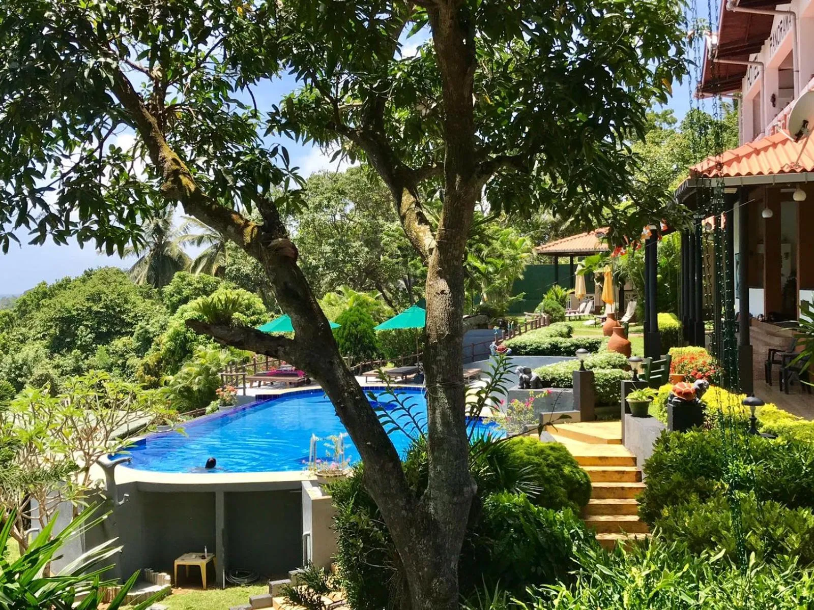 Garden in Hotel Panorama