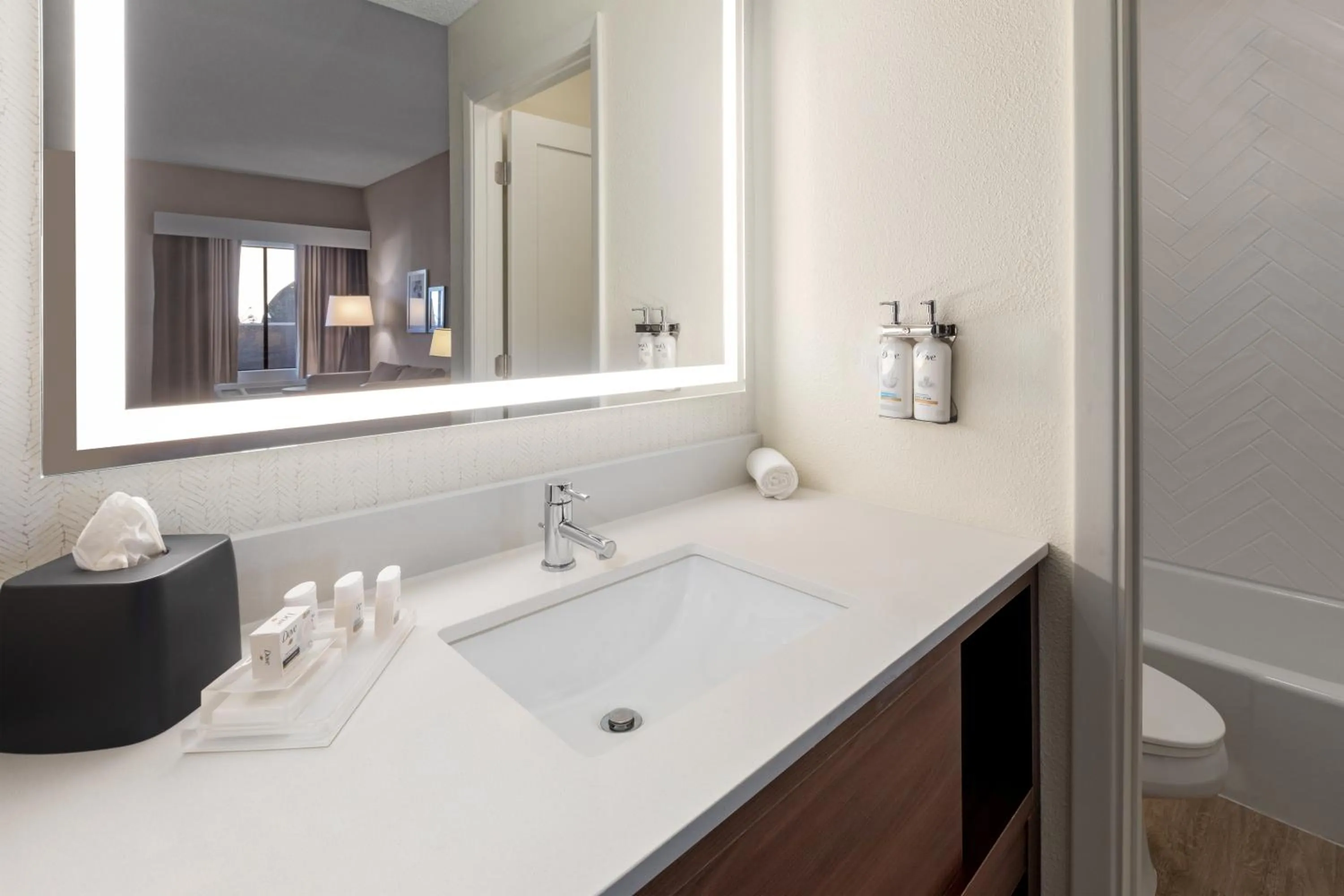 Bathroom in Holiday Inn El Paso West – Sunland Park by IHG