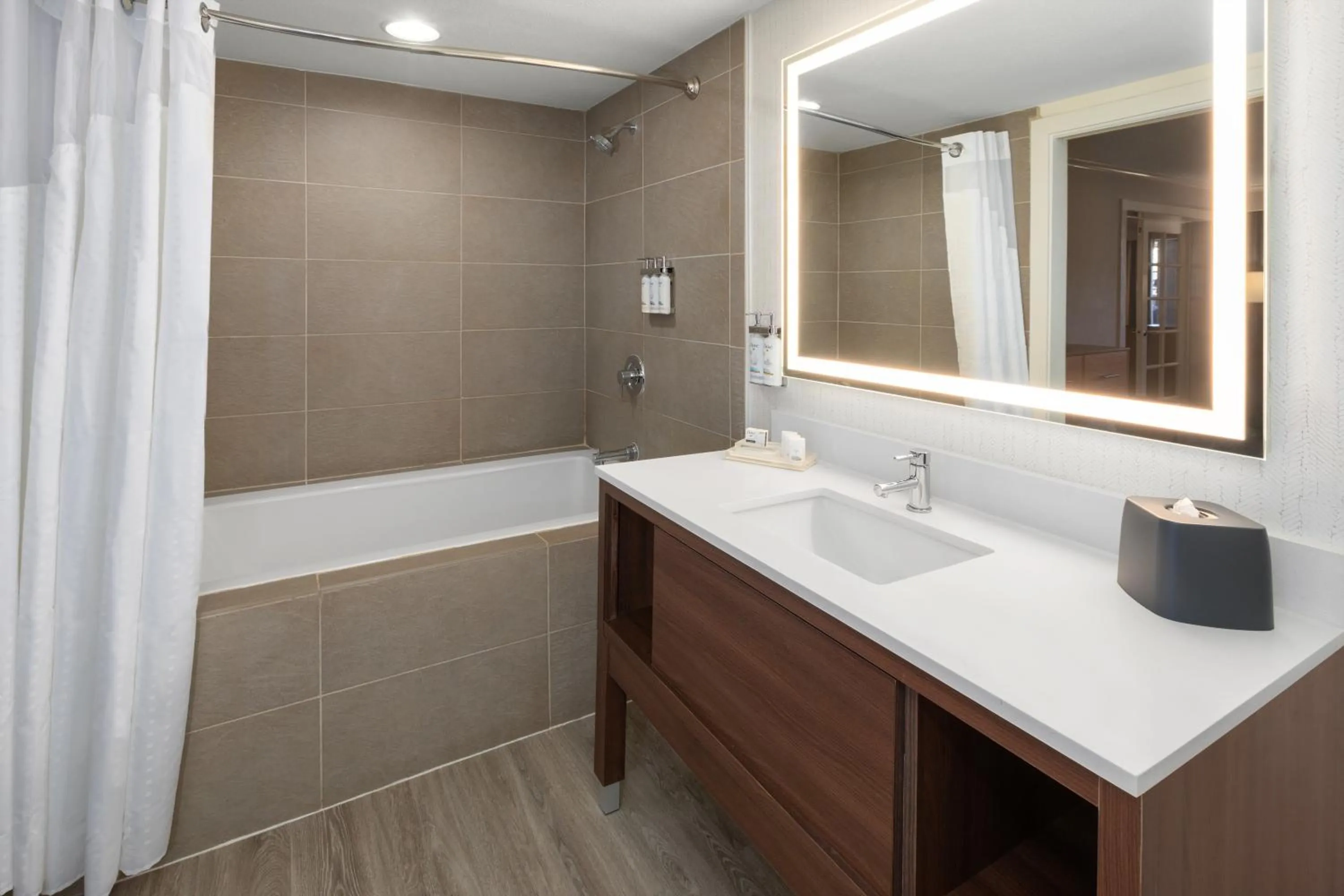 Bathroom in Holiday Inn El Paso West – Sunland Park by IHG