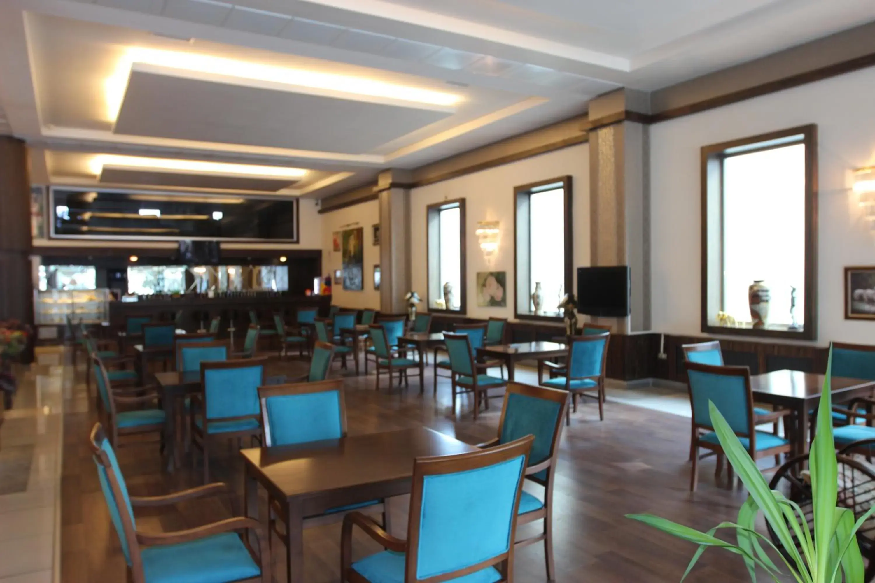 Lounge or bar in Saylamlar Hotel Lounge or bar in Saylamlar Hotel