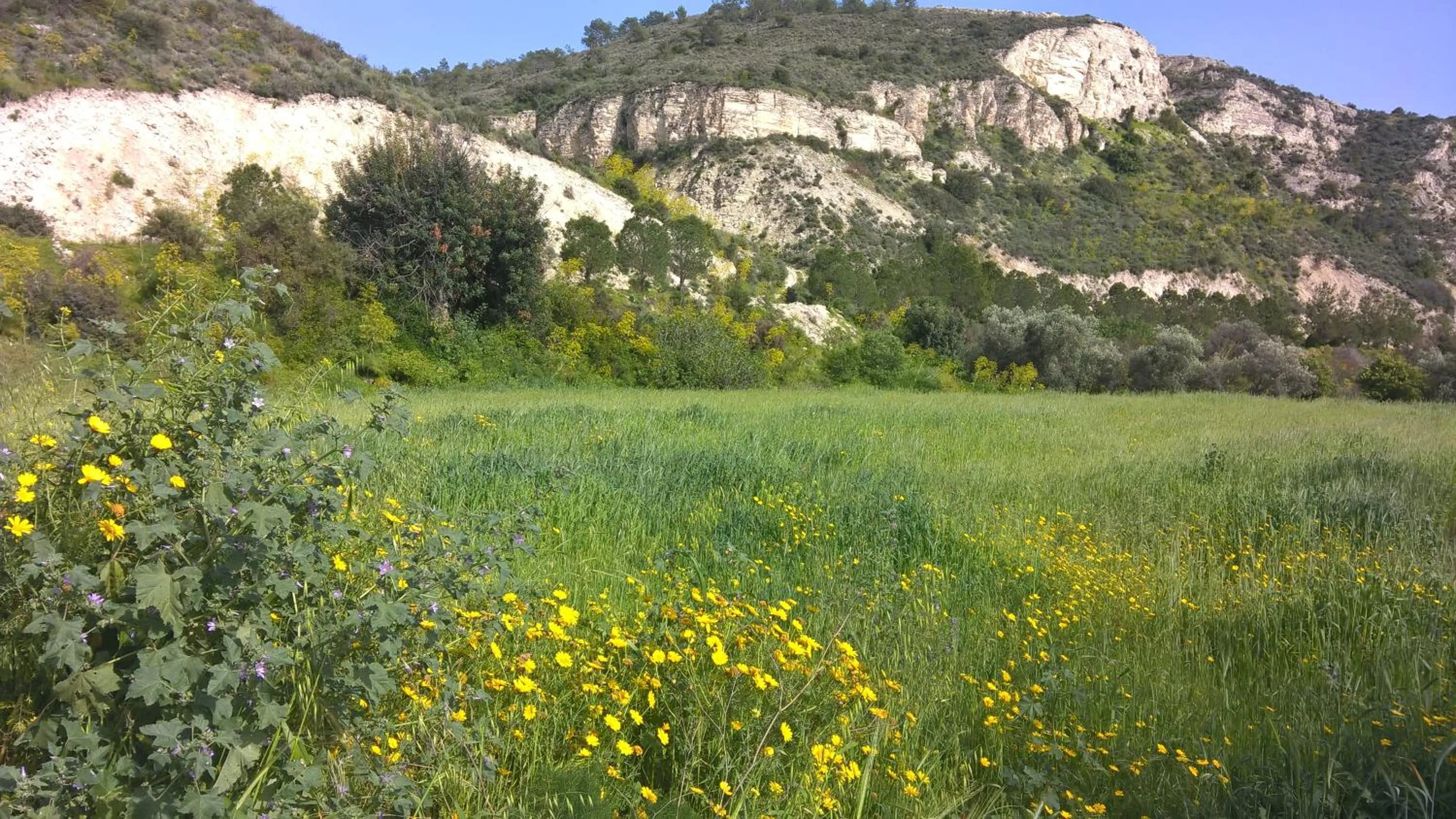Natural landscape in Stratos ArtDeco House