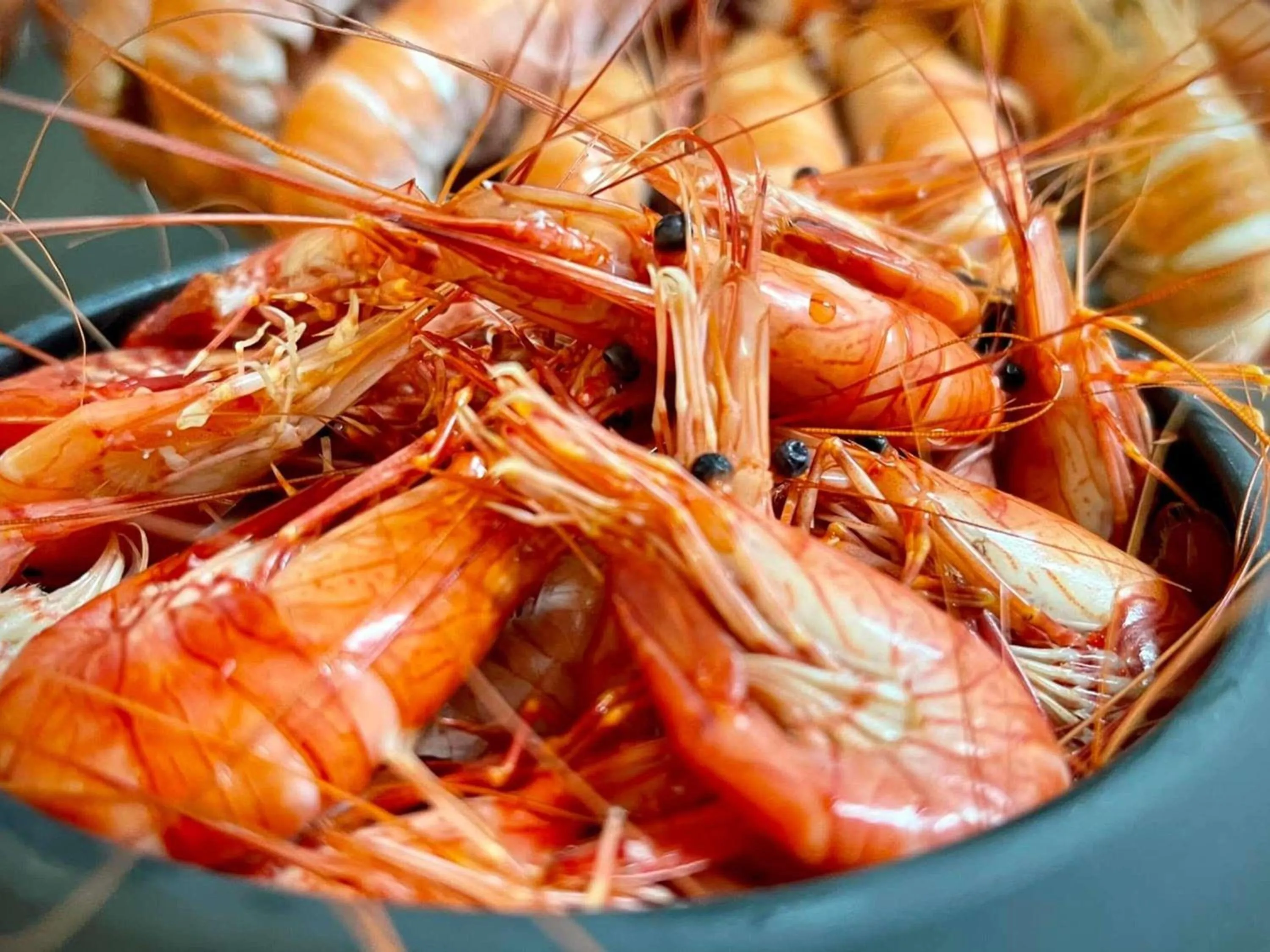 Restaurant/places to eat in ibis Styles Segre