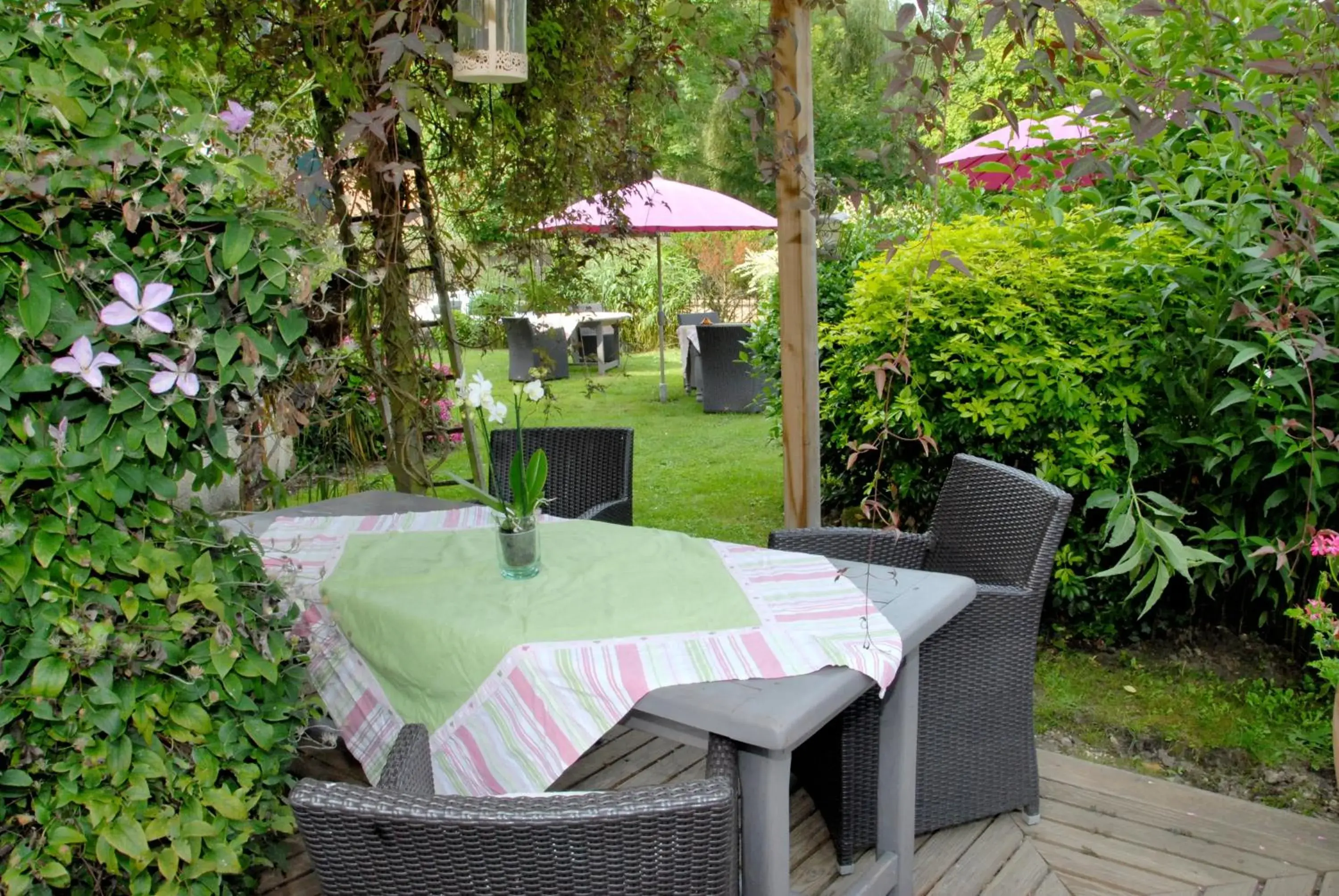 Garden in Hôtel De La Chapelle