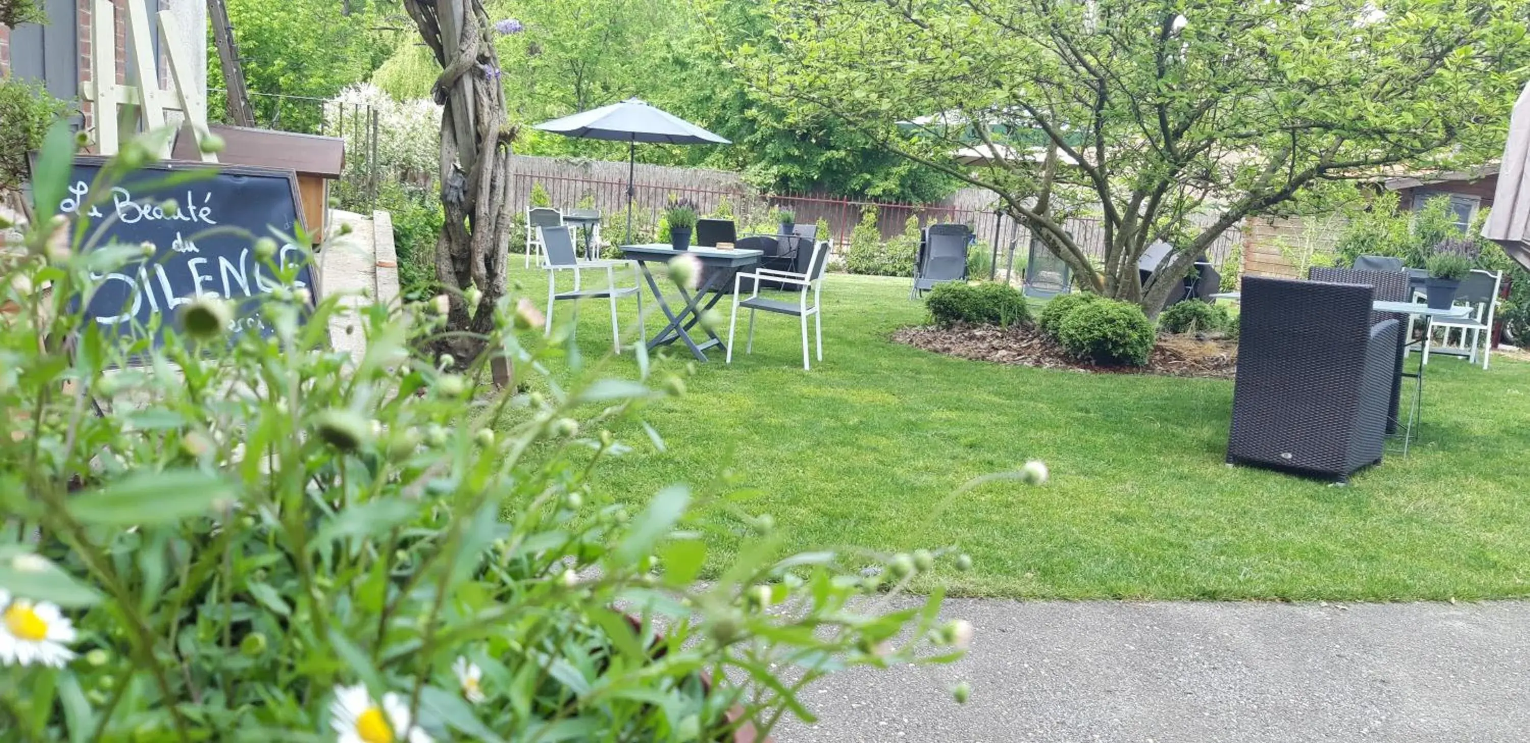 Garden in Hôtel De La Chapelle