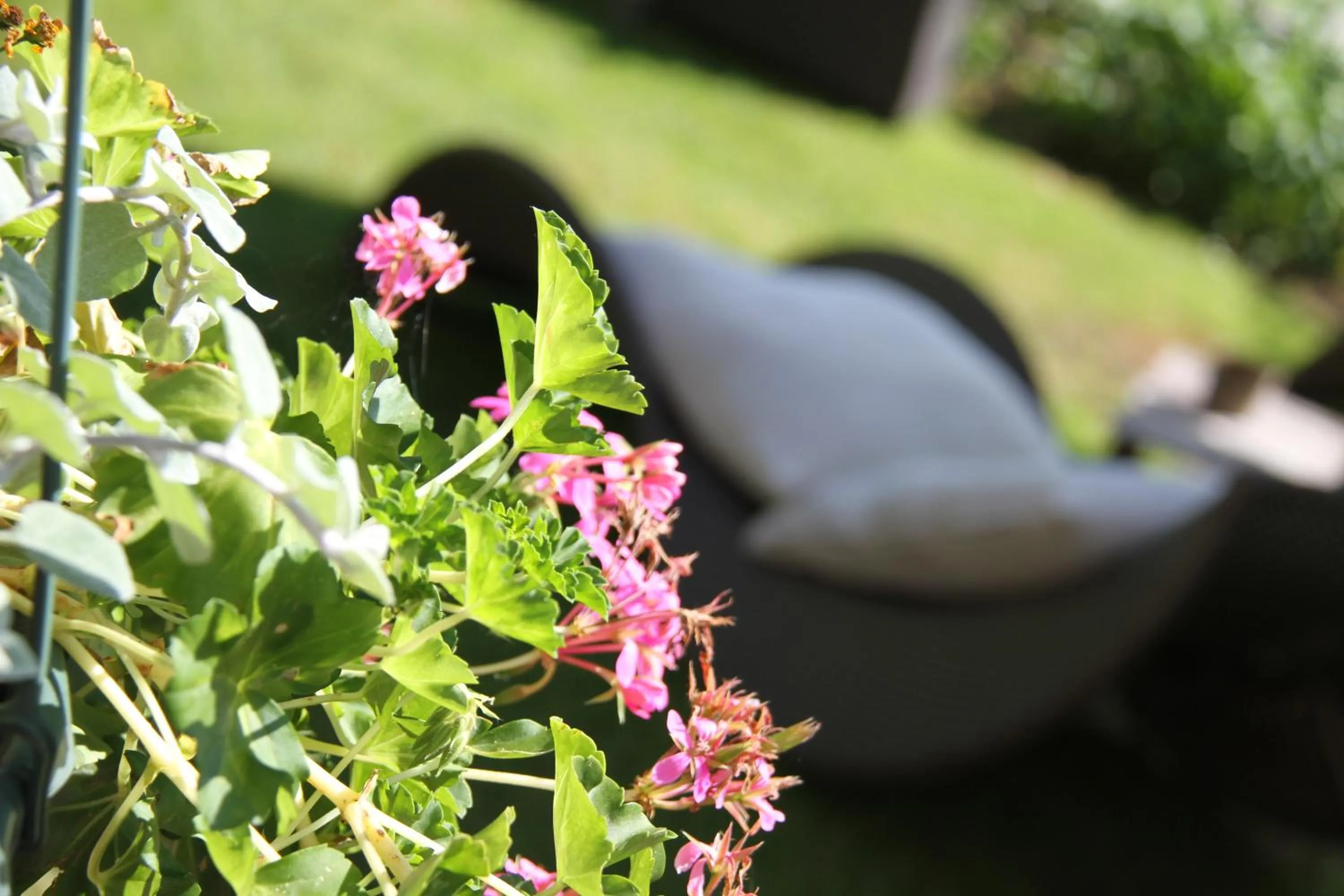 Other in Logis Hôtel De La Chapelle