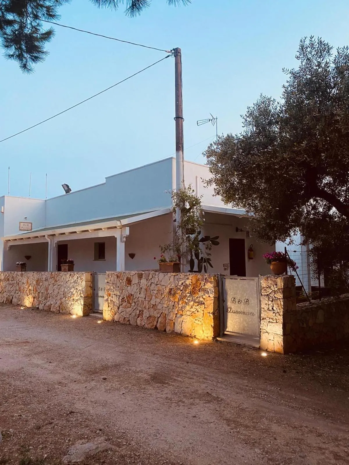 B&B Quasimare