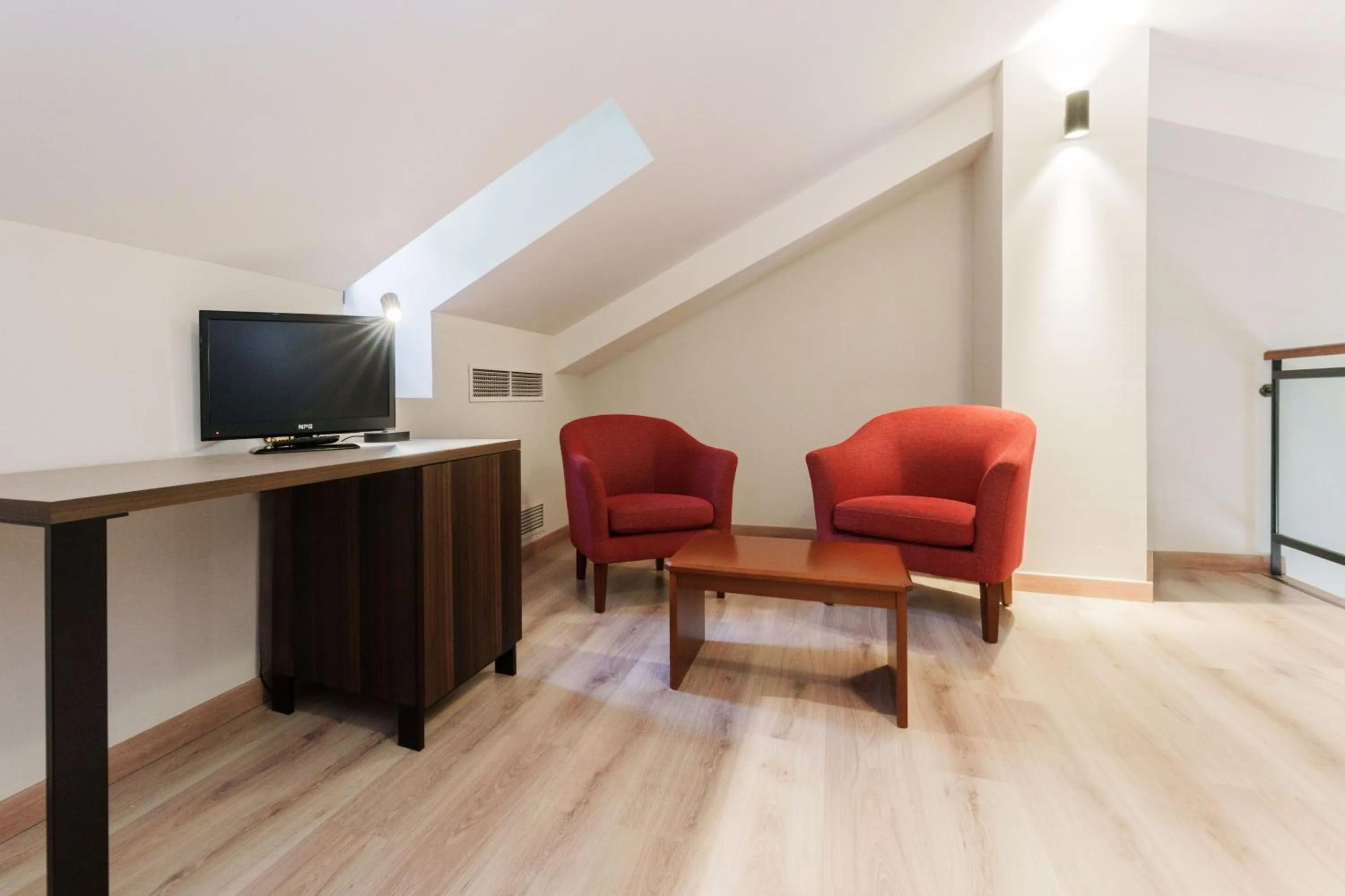 TV and multimedia in Hotel Spa Termes Carlemany