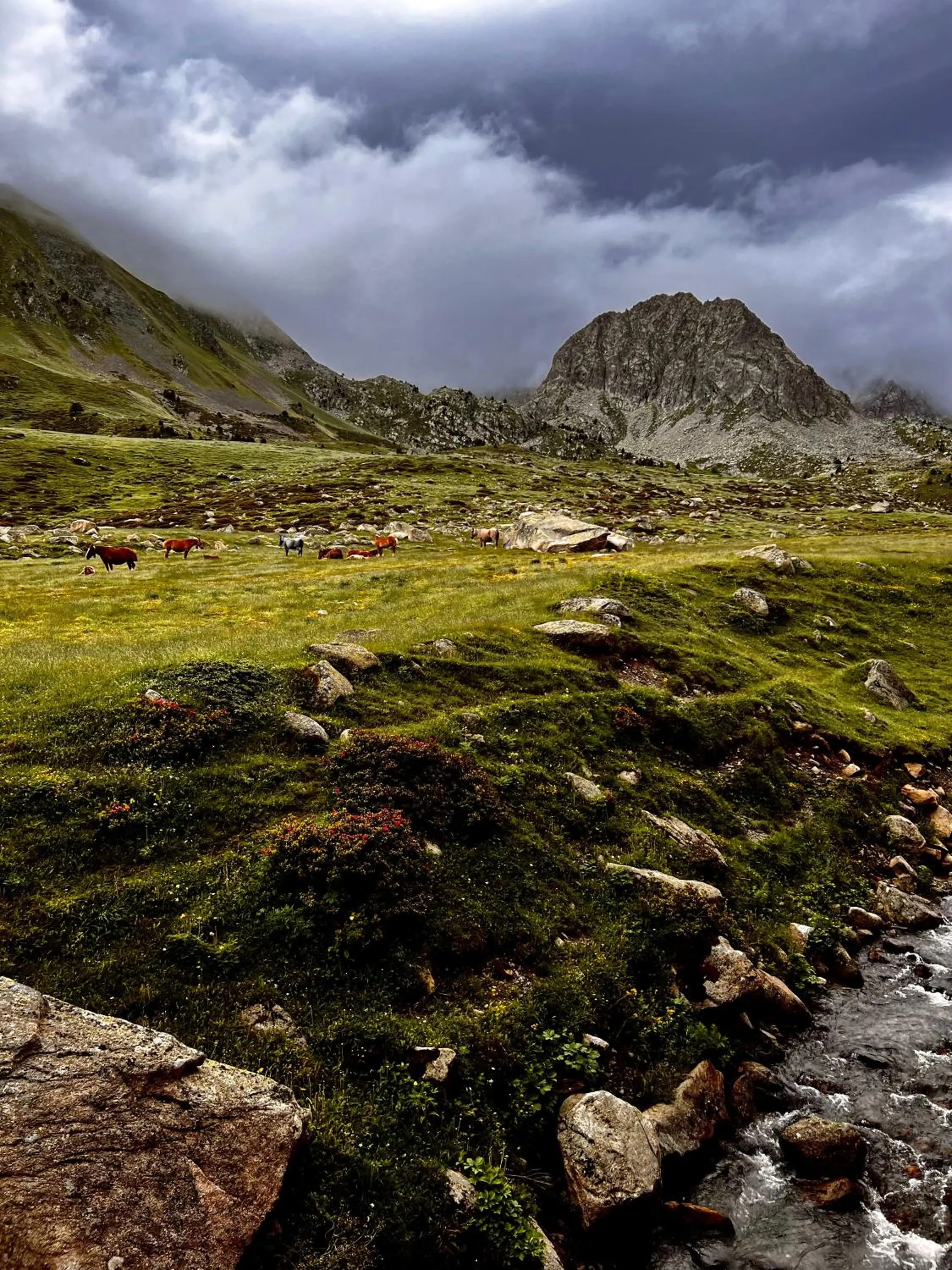 Nearby landmark in Frontera Blanca