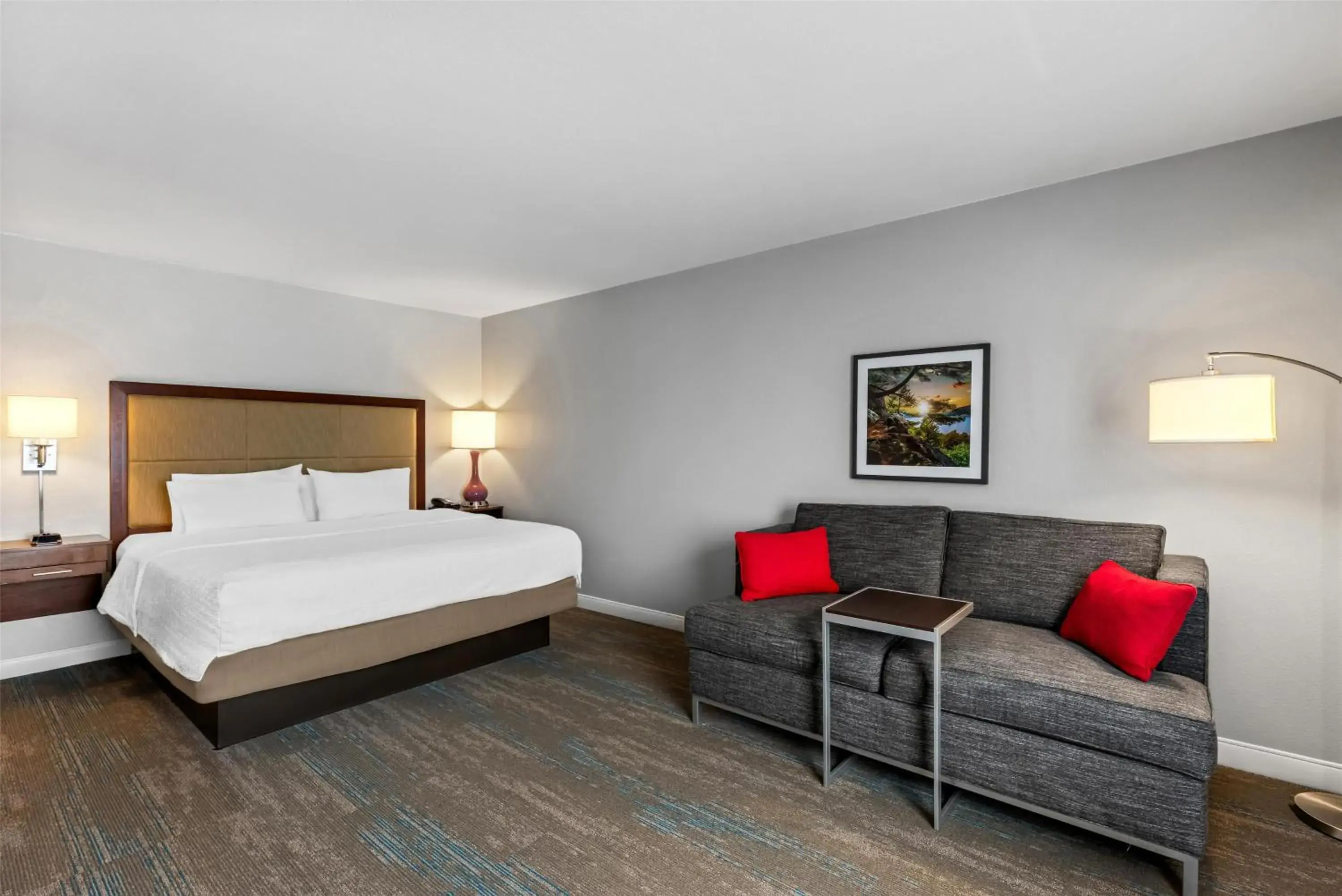 King Room with Sofa Bed - Non-Smoking in Hampton Inn Fond du Lac King Room with Sofa Bed - Non-Smoking in Hampton Inn Fond du Lac