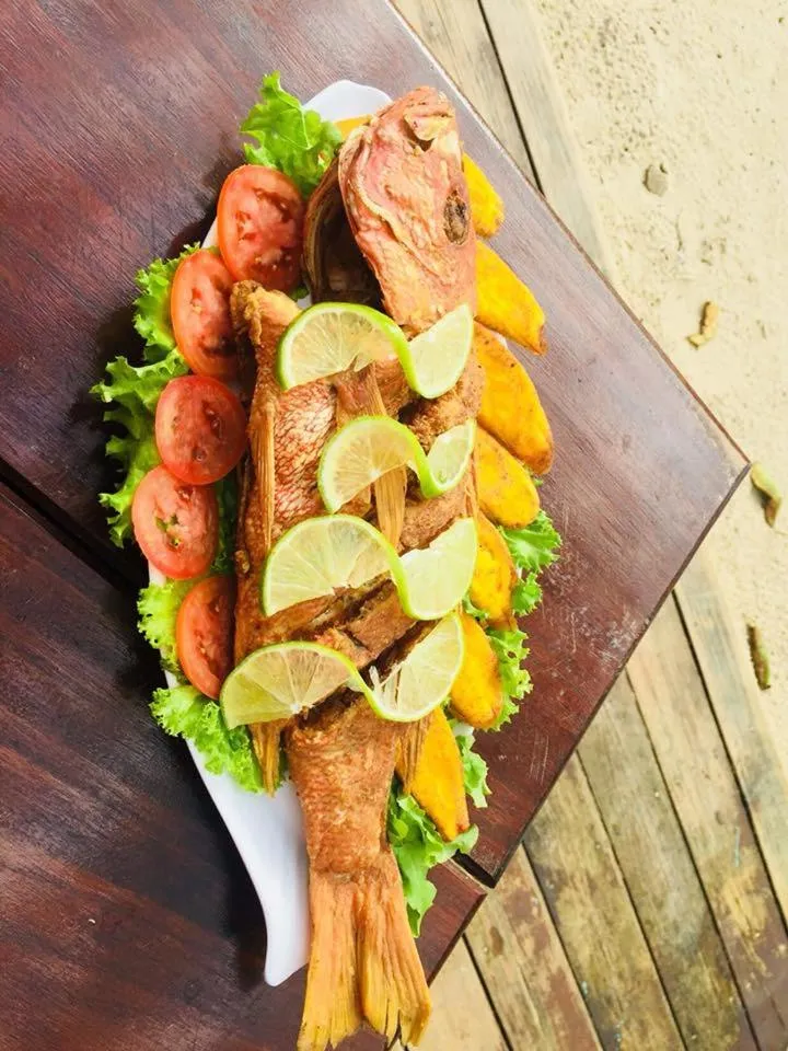 Coconut Tree West Bay