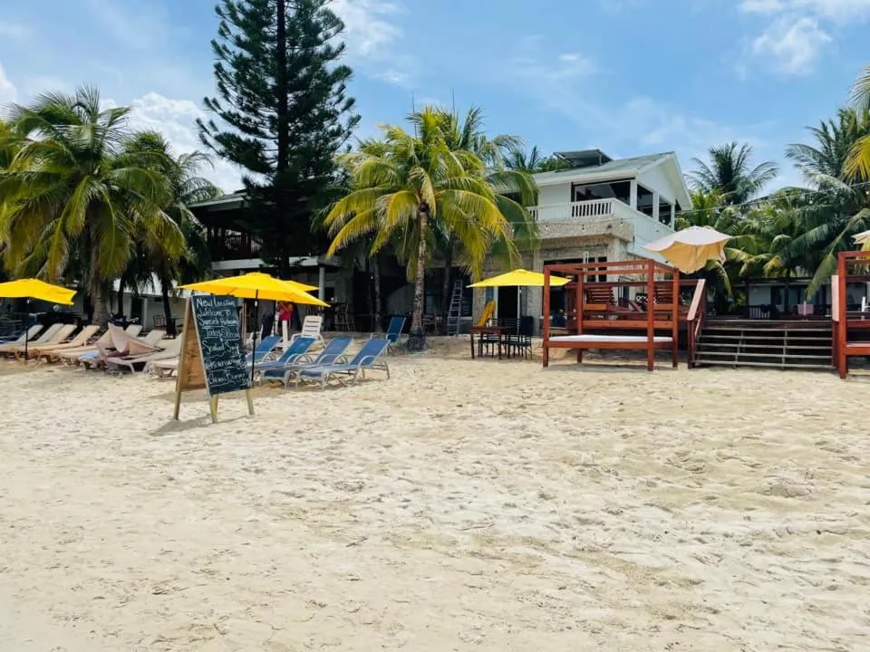 Coconut Tree West Bay