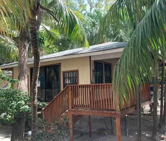 Coconut Tree West Bay