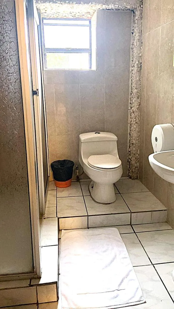 Coconut Tree West Bay