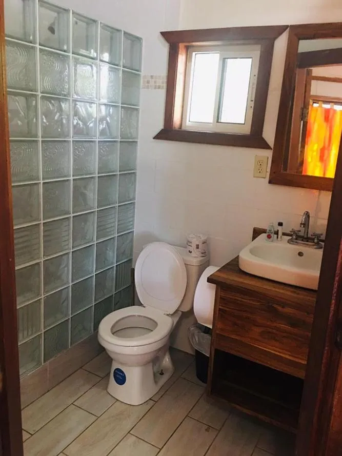 Coconut Tree West Bay