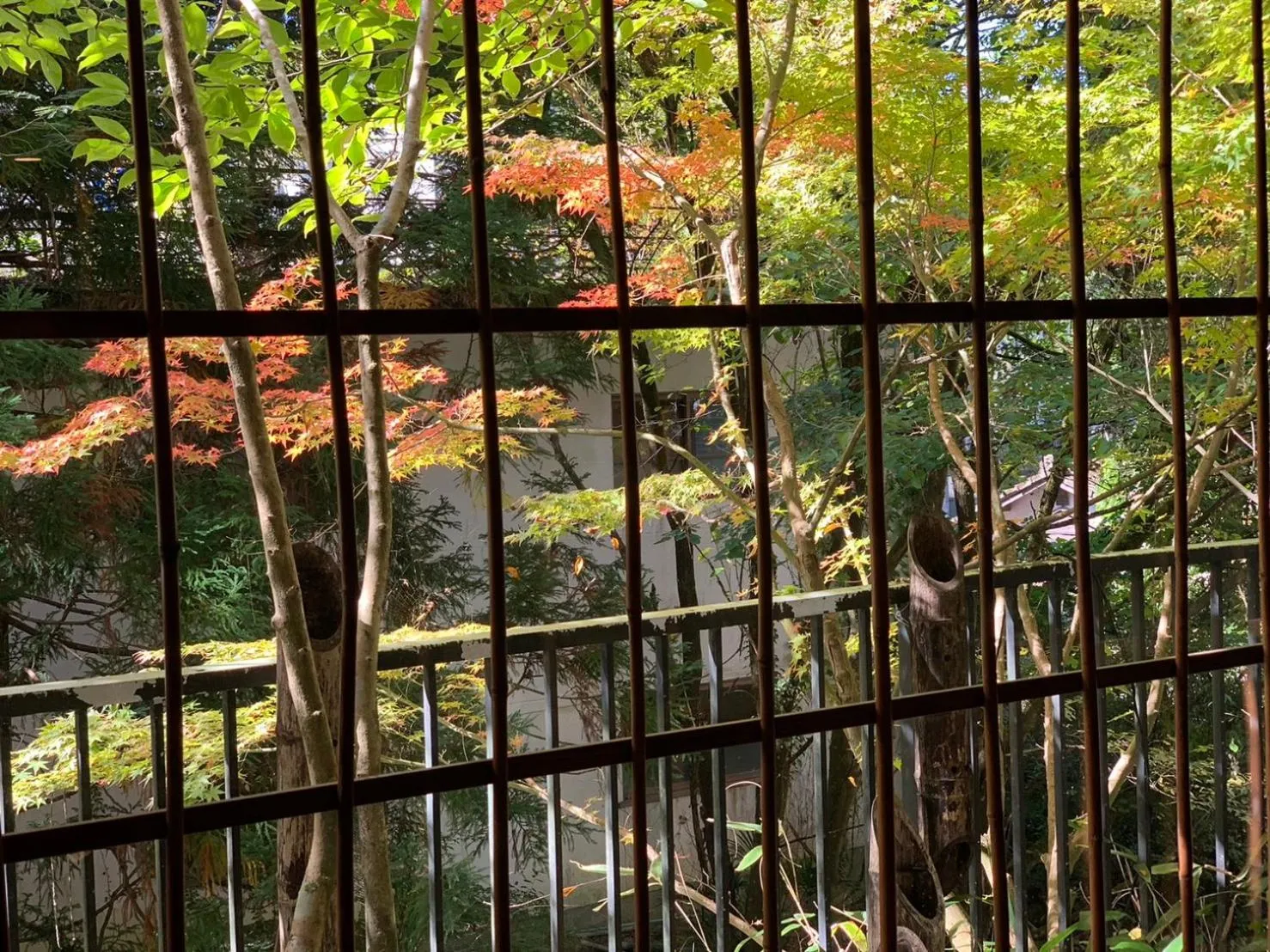 Garden view in Kinosato Yamanoyu