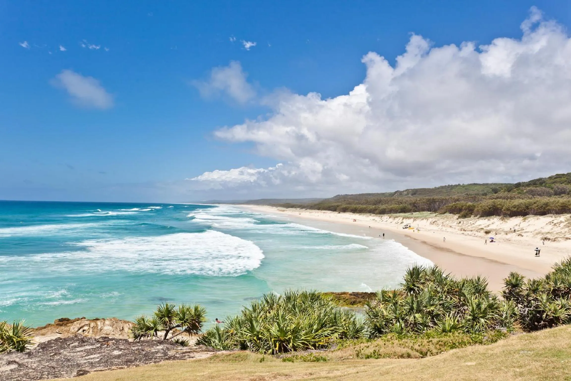 Beach in The Islander