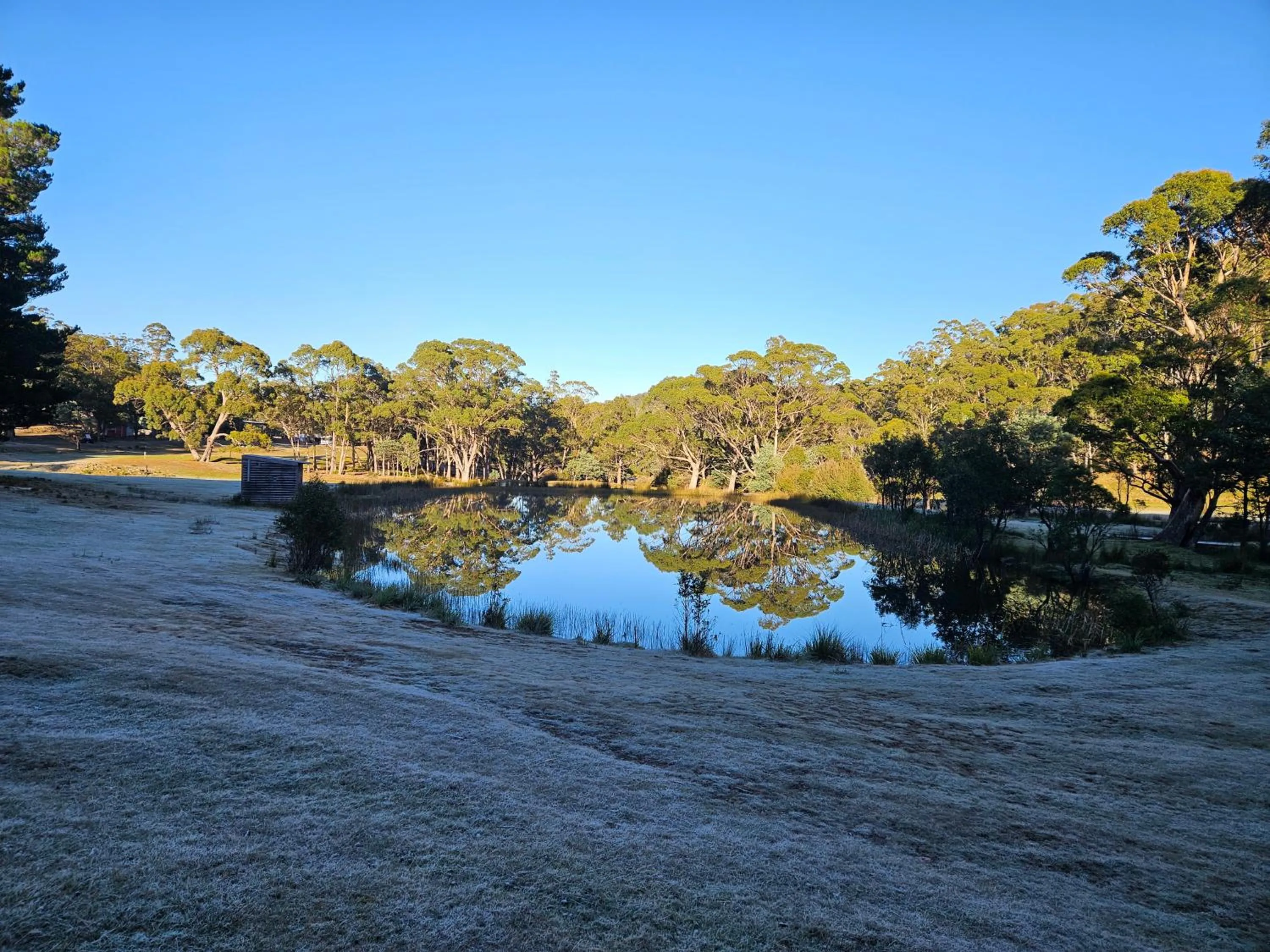 Craggy Peaks Wilderness Cabins