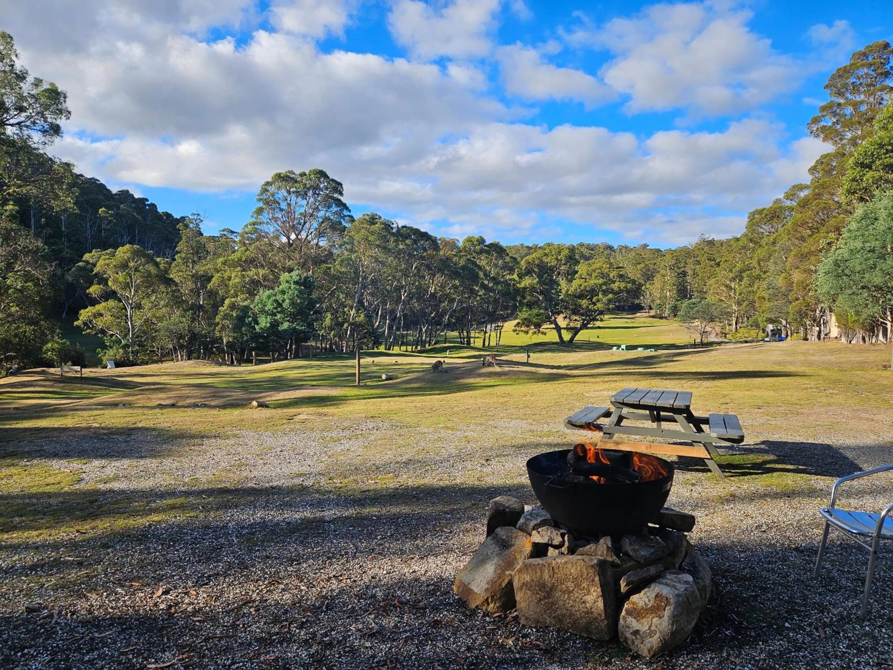 Craggy Peaks Wilderness Cabins