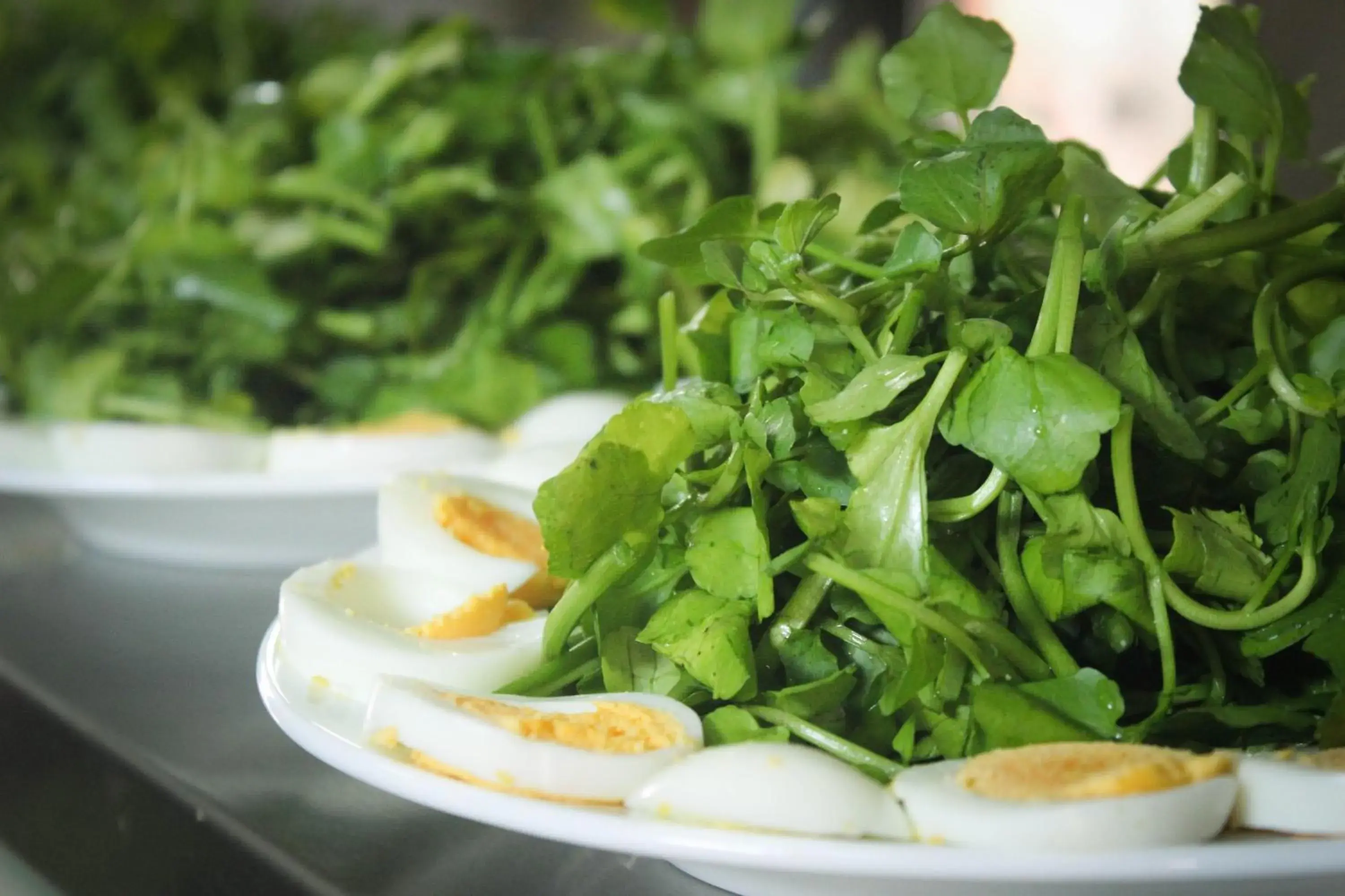 Restaurant/places to eat in Hoa Binh Hotel Restaurant/places to eat in Hoa Binh Hotel