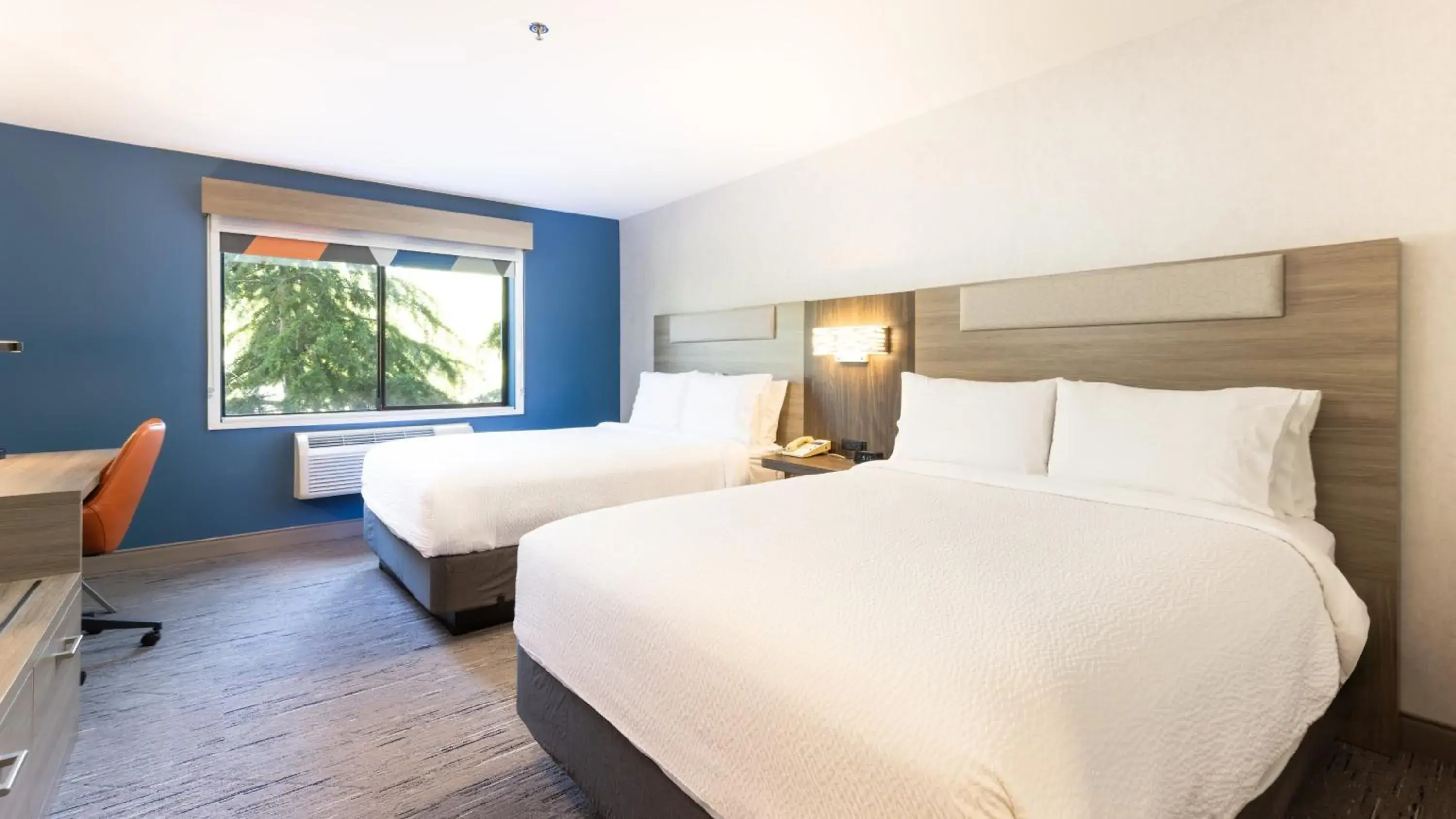 Photo of the whole room, Bed in Holiday Inn Express Hotel & Suites Pleasant Prairie-Kenosha by IHG Photo of the whole room, Bed in Holiday Inn Express Hotel & Suites Pleasant Prairie-Kenosha by IHG