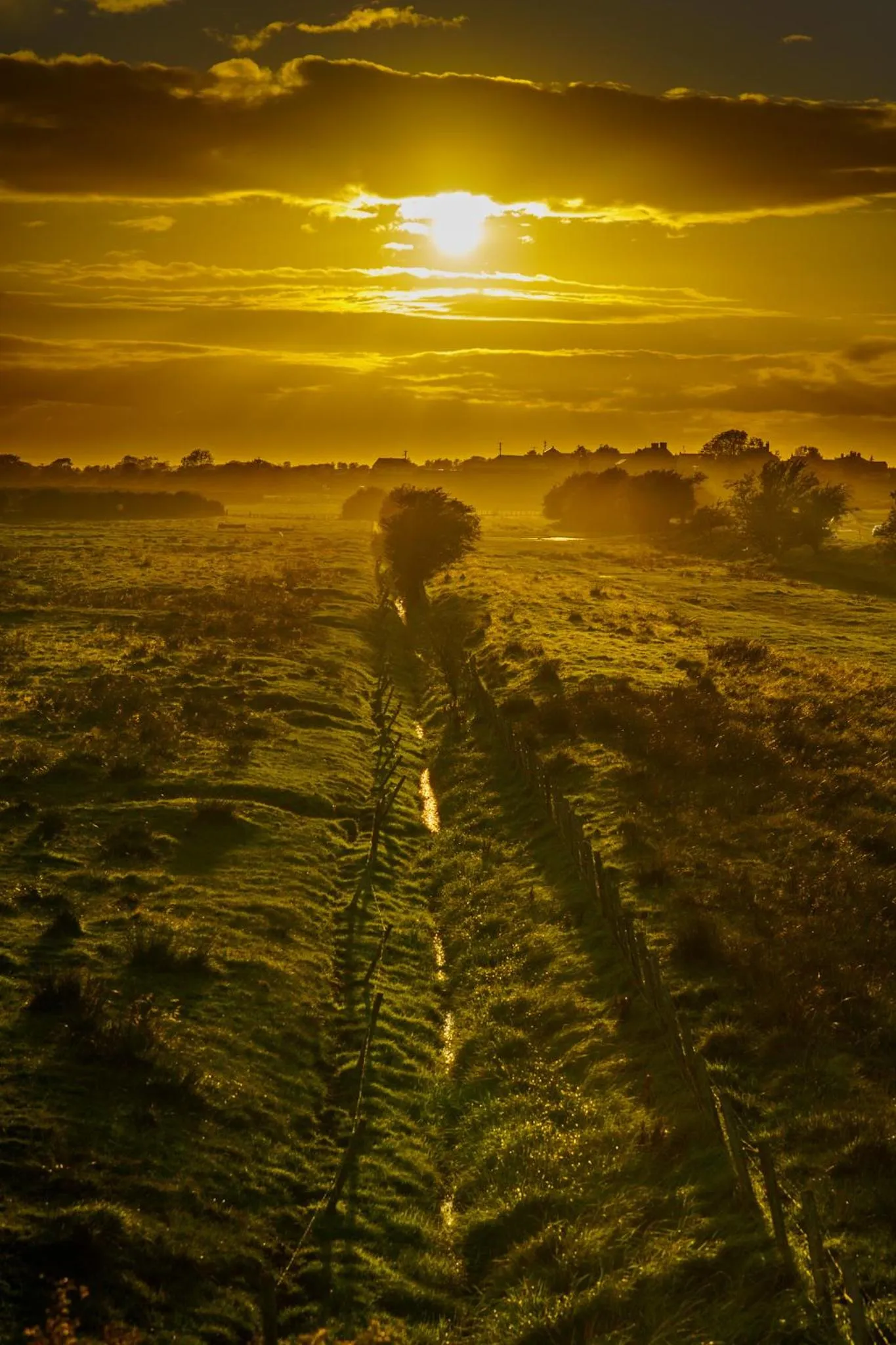 Other in Midtown Farm Bed & Breakfast