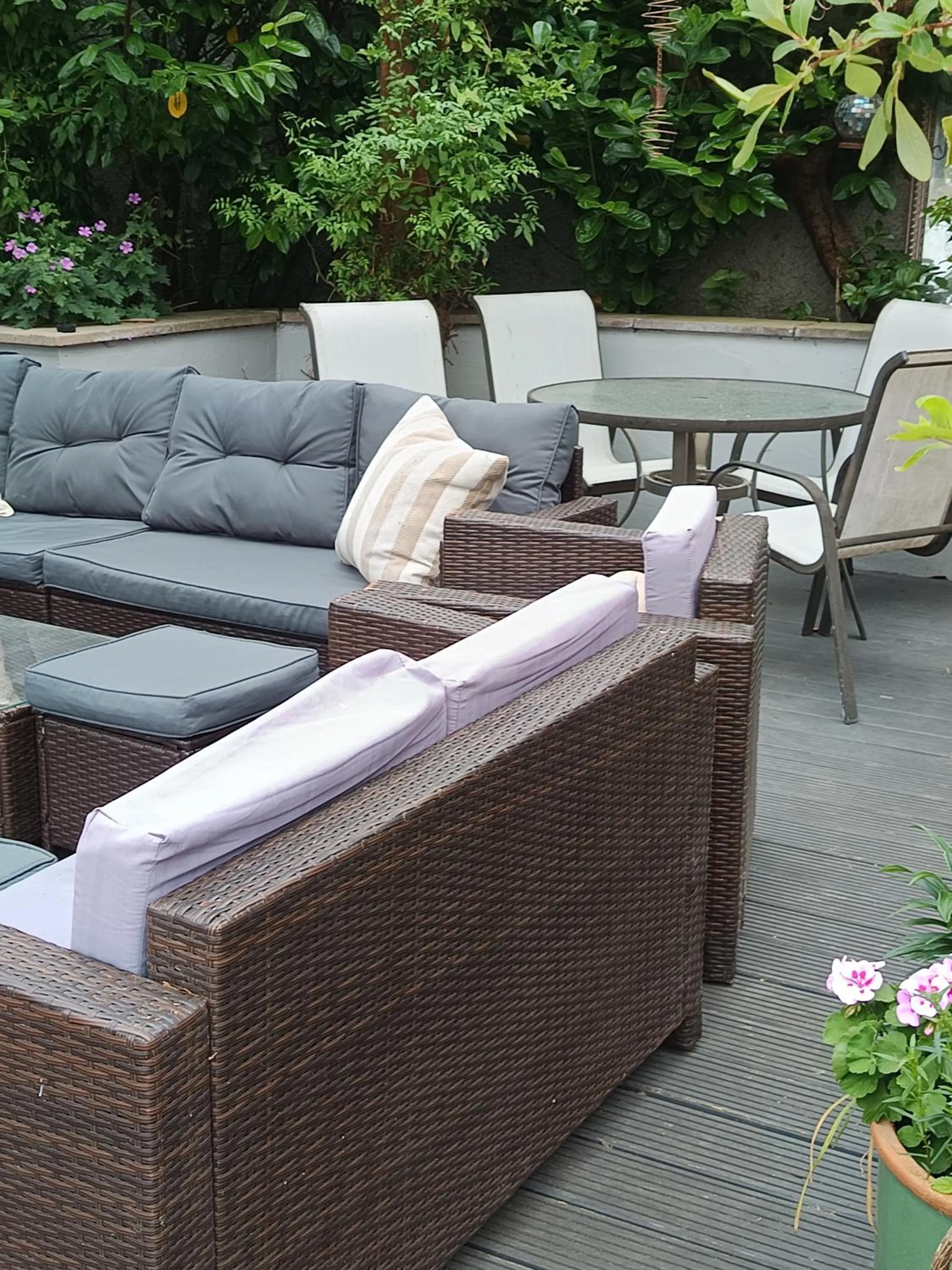 Midtown Farm Bed & Breakfast