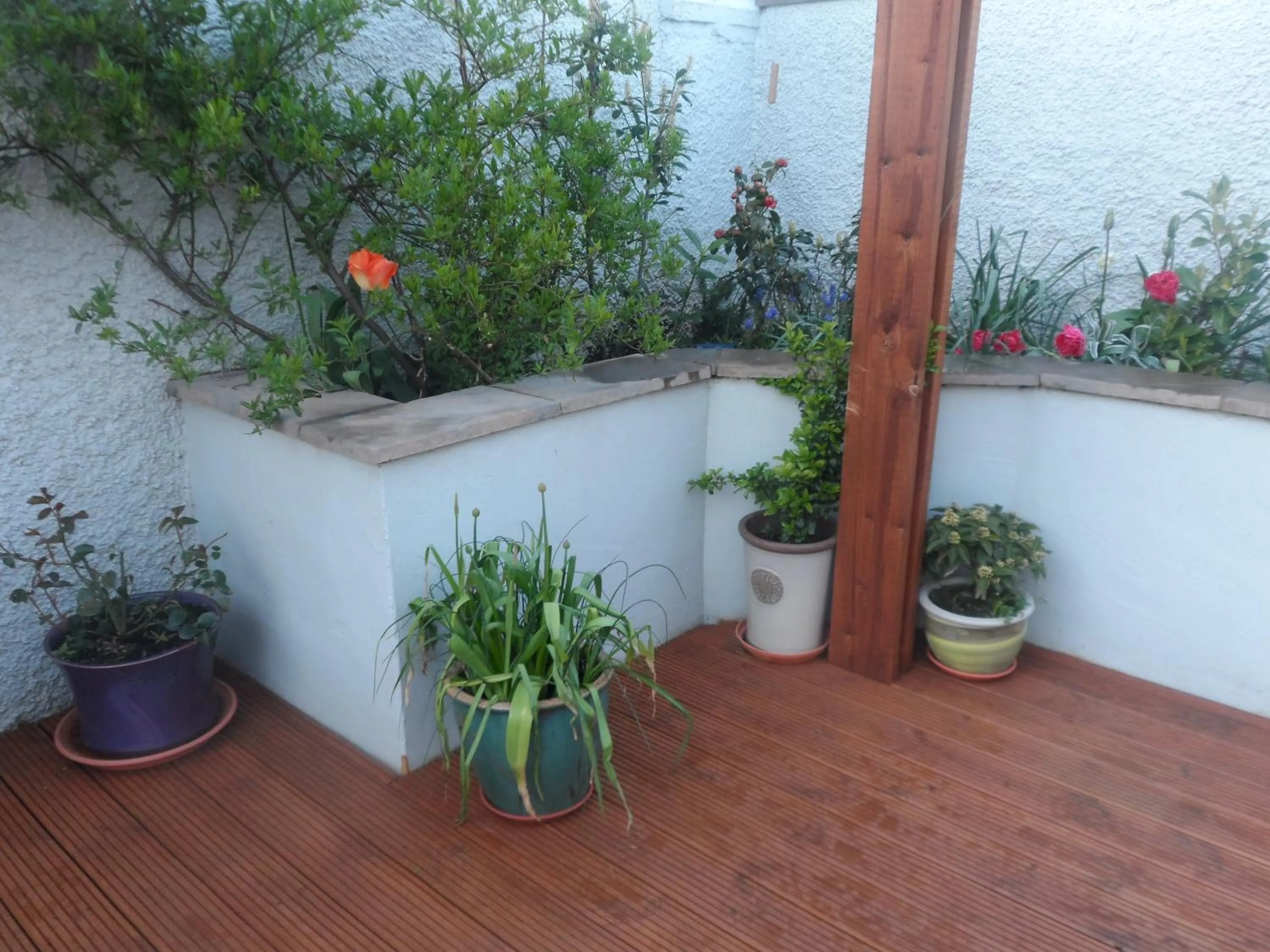 Balcony/Terrace in Midtown Farm Bed & Breakfast