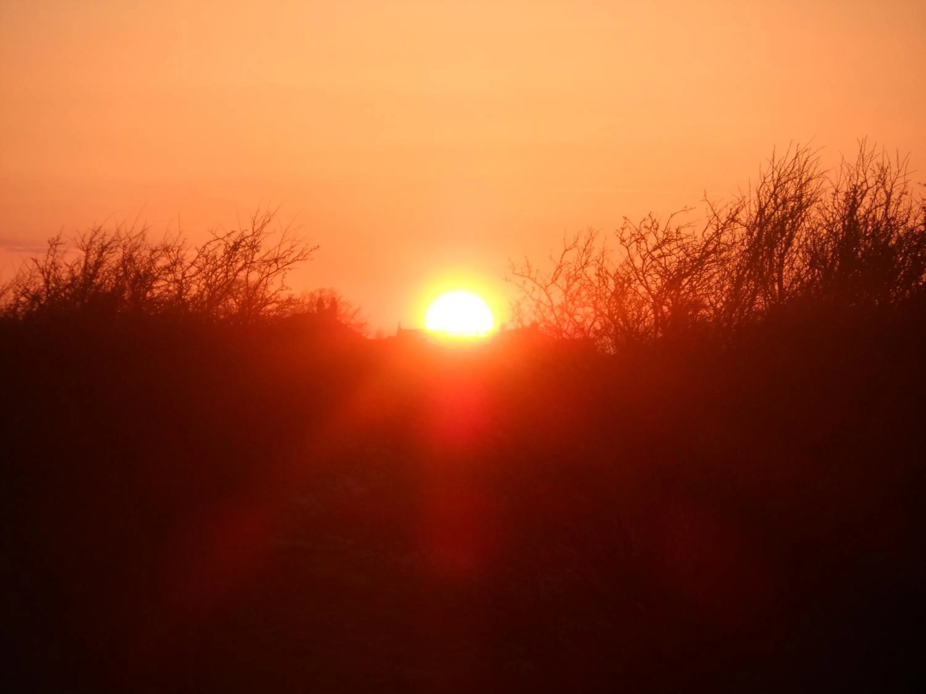 Landmark view in Midtown Farm Bed & Breakfast
