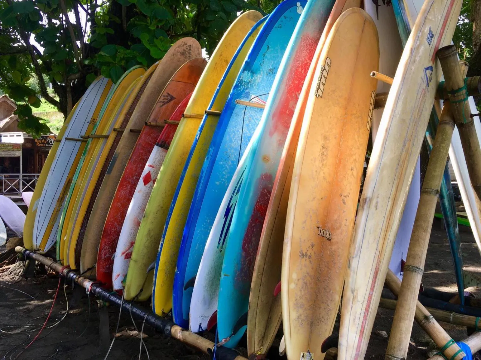 Activities in Sadati Home Stay