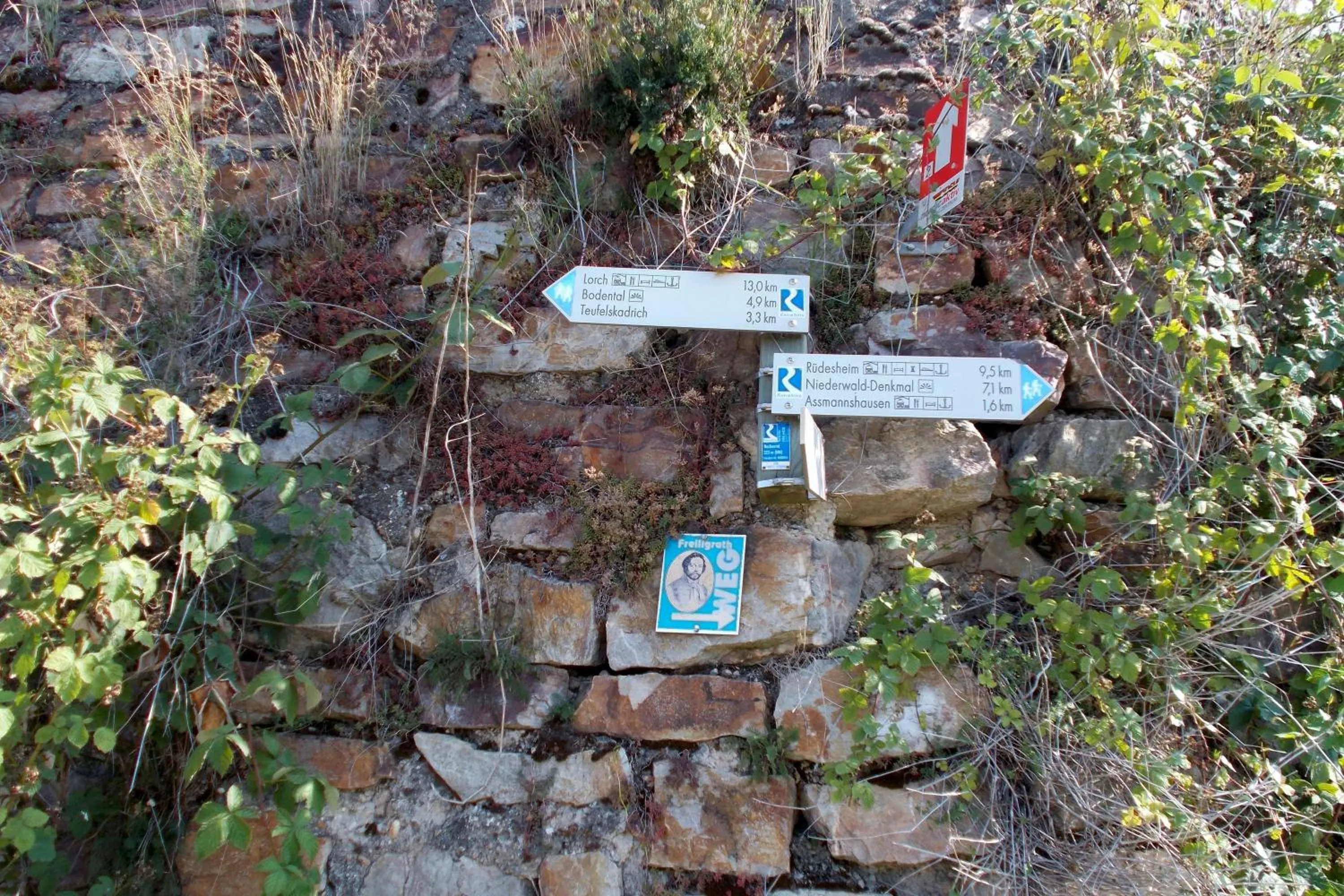 Other in Pension Johanna