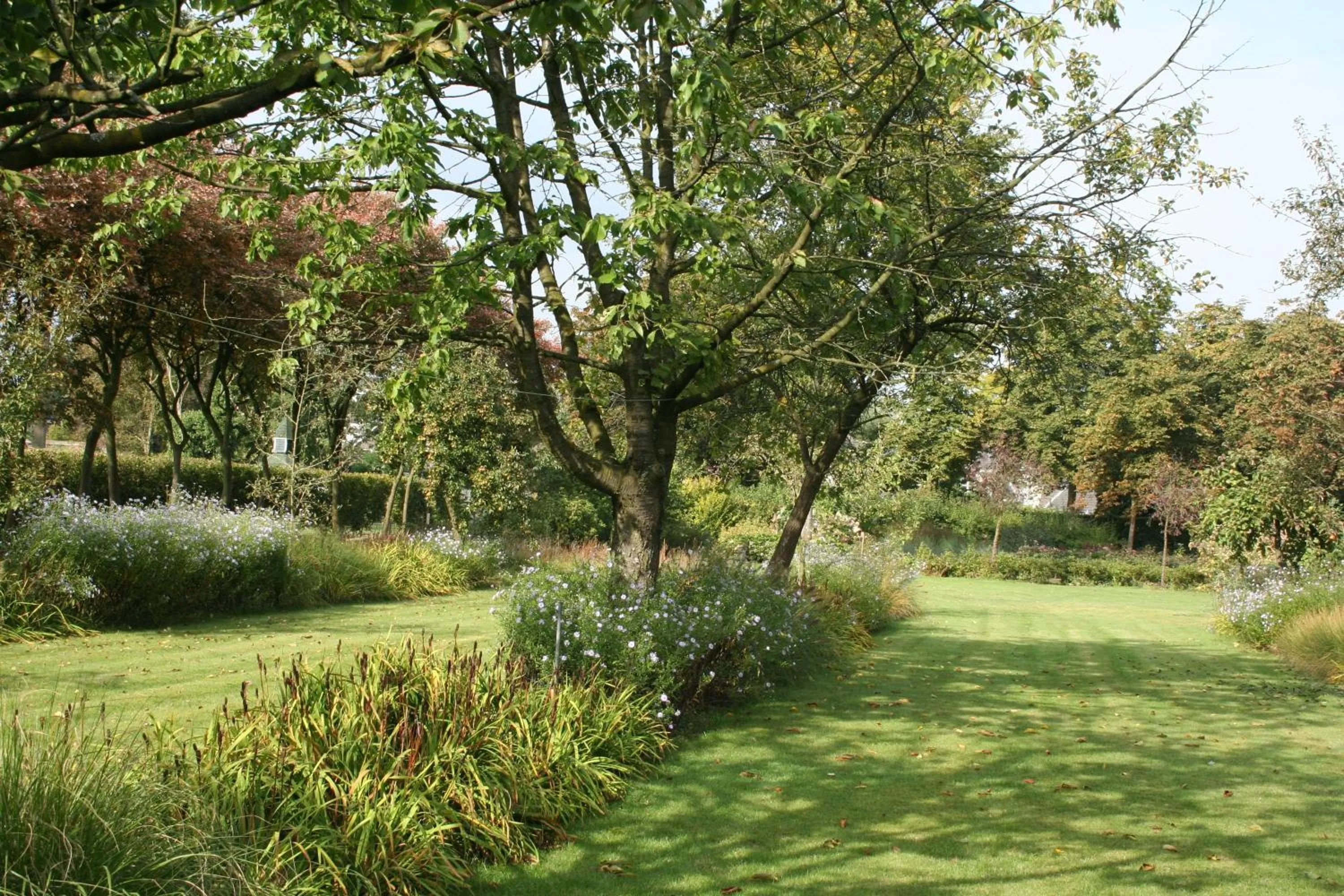 Autumn in B&B van Dinter