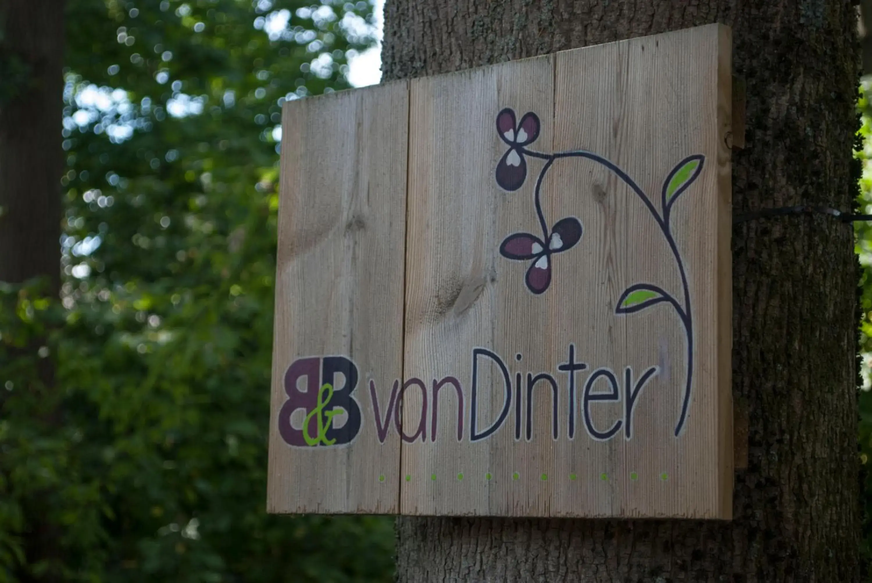 B&B van Dinter B&B van Dinter